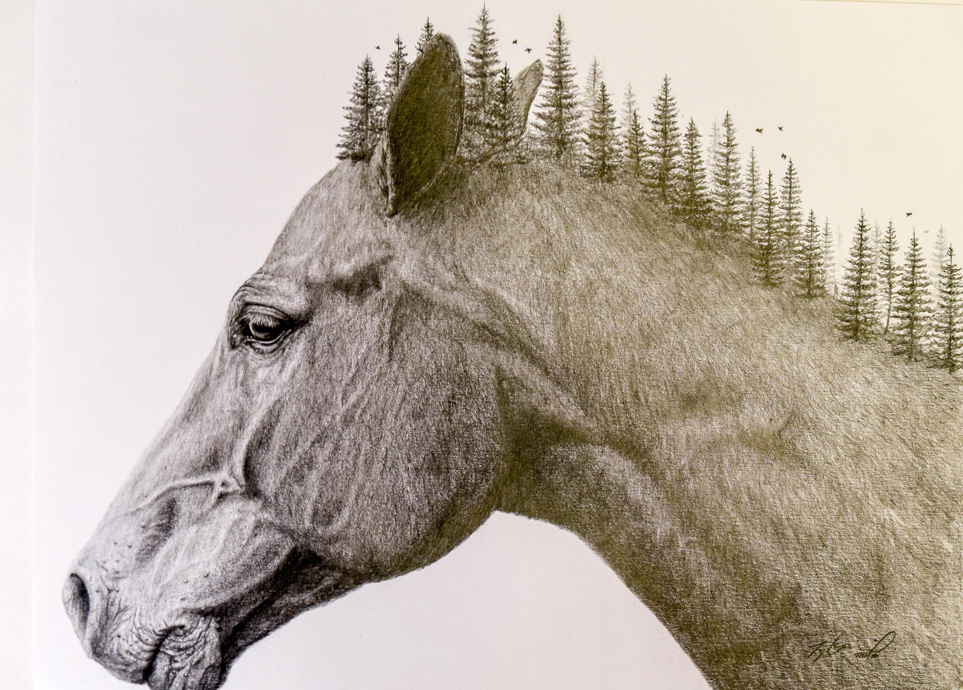 Horse and Nature #3 by Taylor McGill