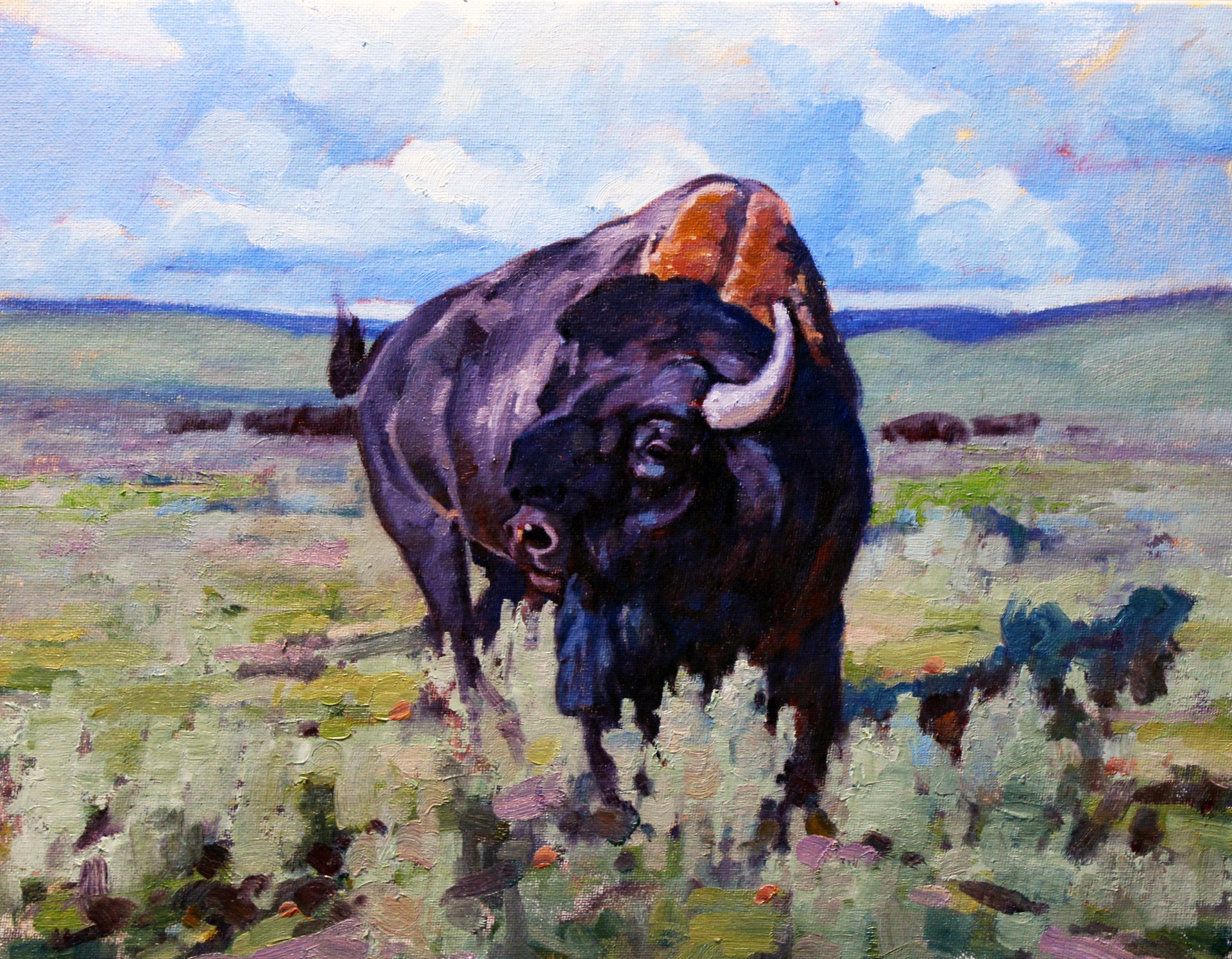 Yellowstone Buffalo by Charles Dayton