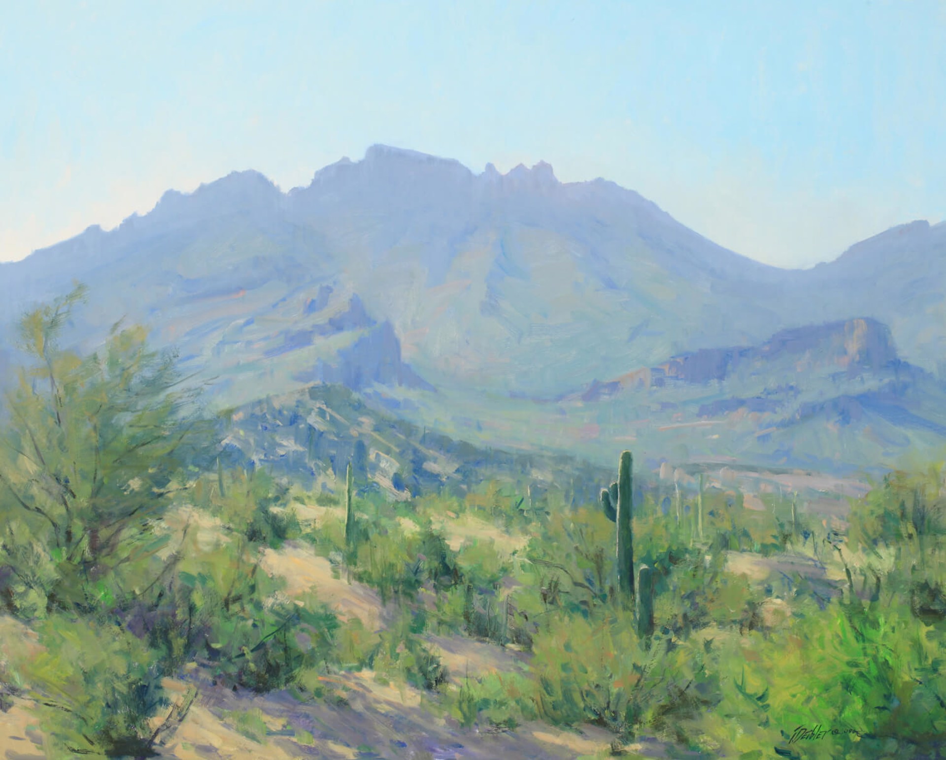 Arizona Morning by Tim Deibler