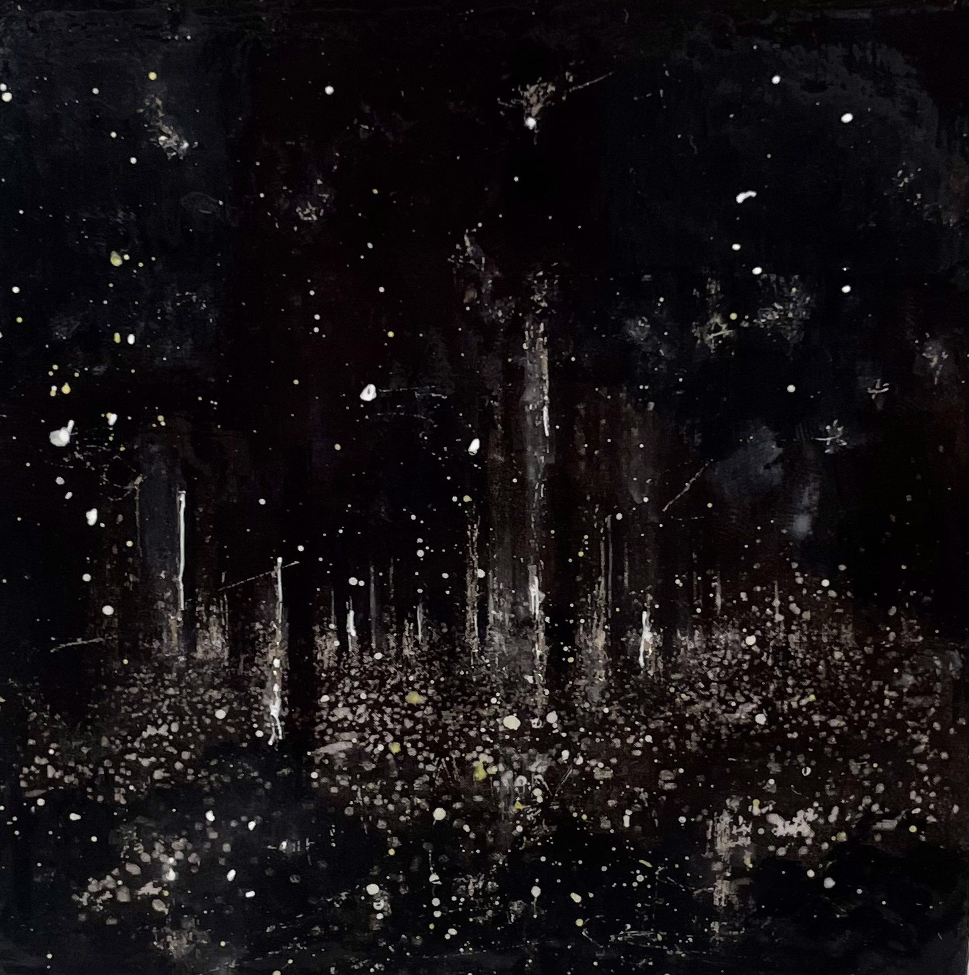Forest of Fireflies by Rachel Gardner