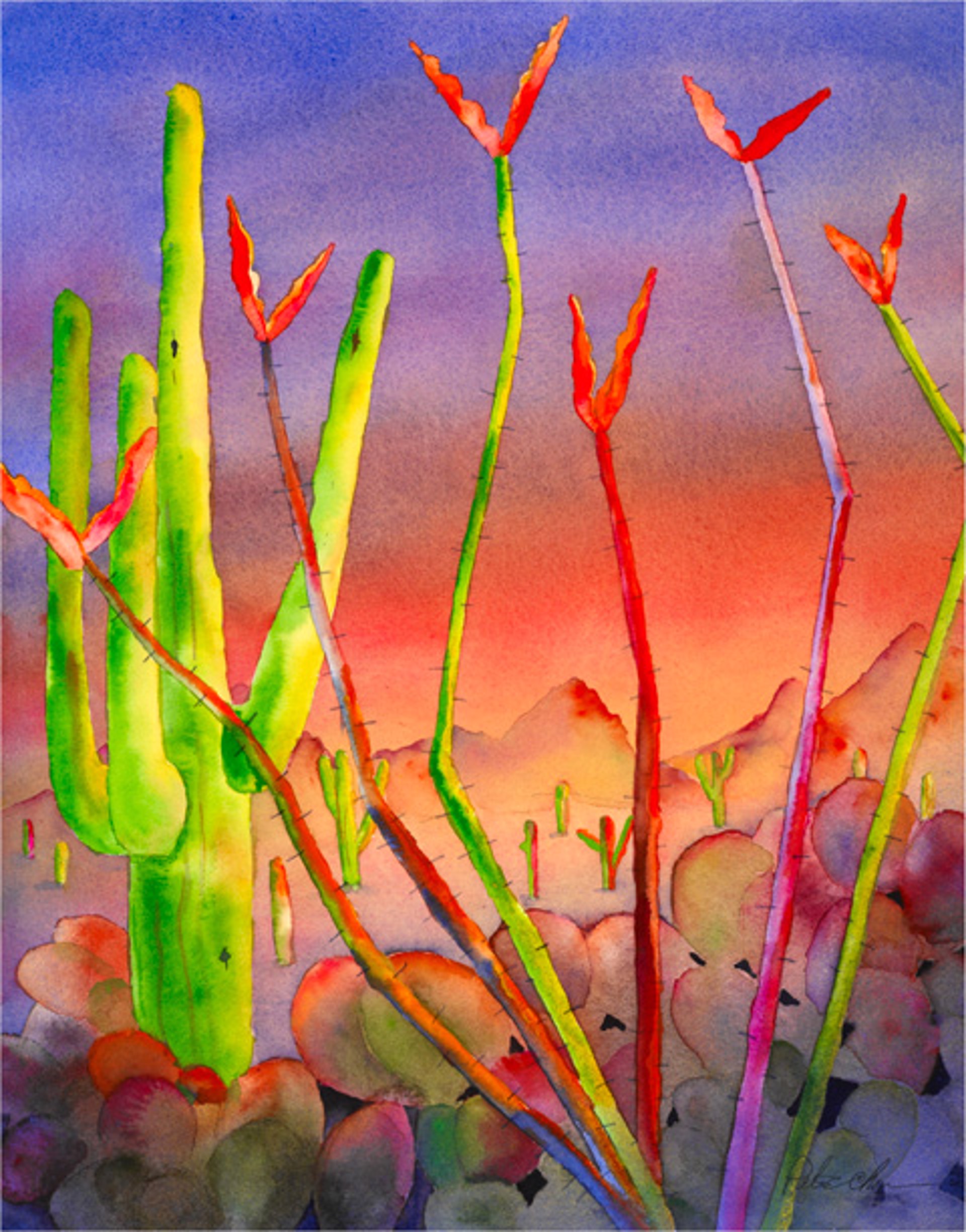 Ocotillo Light Giclee by Peter Chope