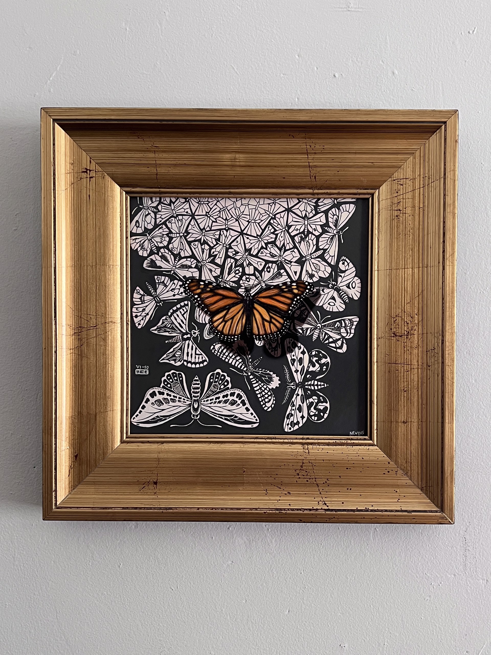 Escher's Monarch by Patrick Nevins
