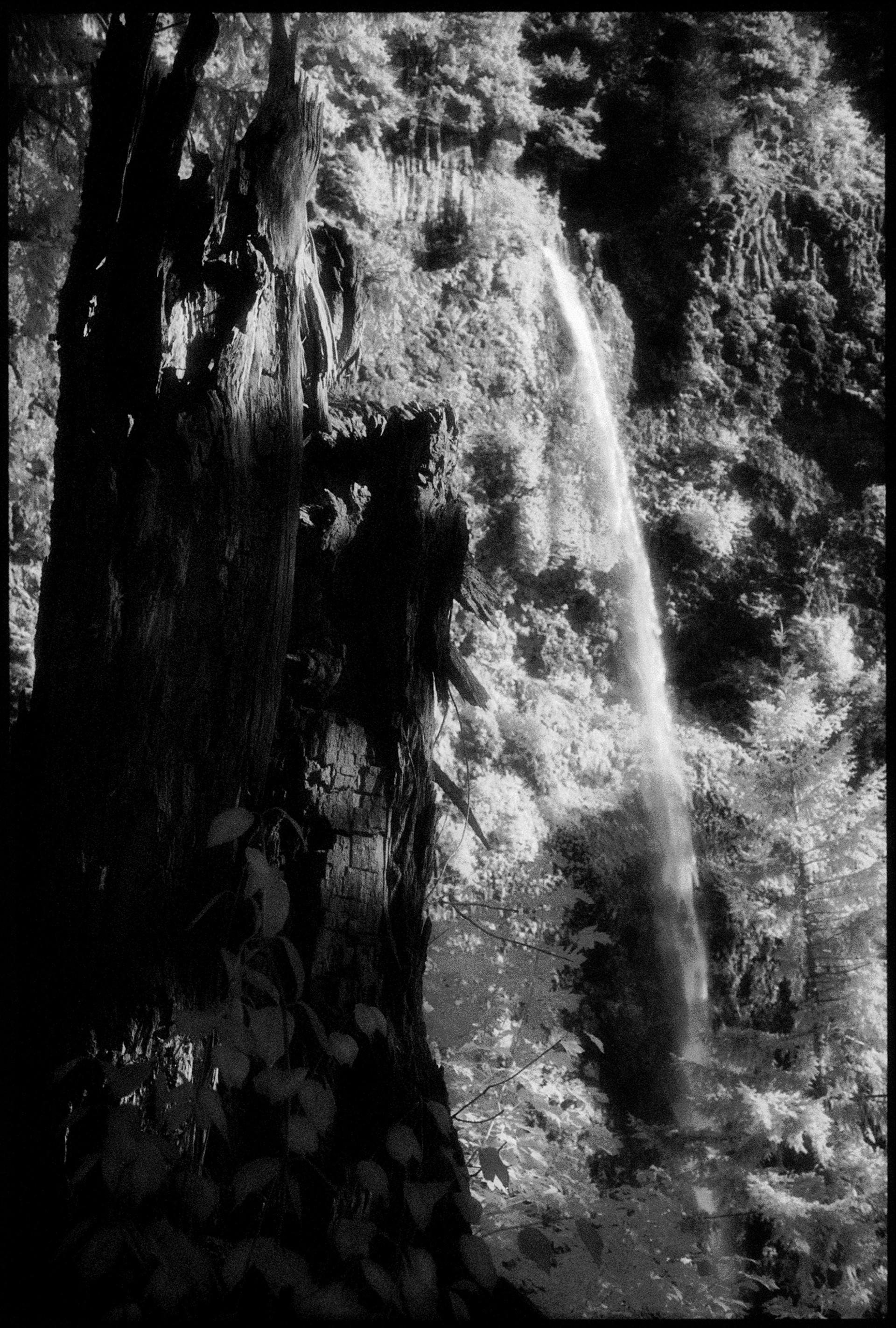 Multnomah Falls I, OR by Edward C. Alfano