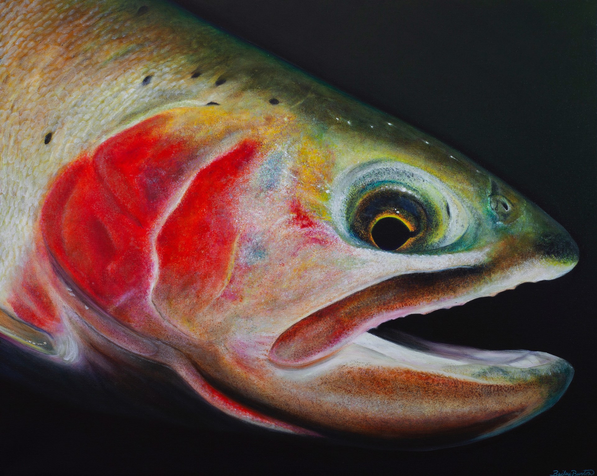 Clarkii by Bailey Burton