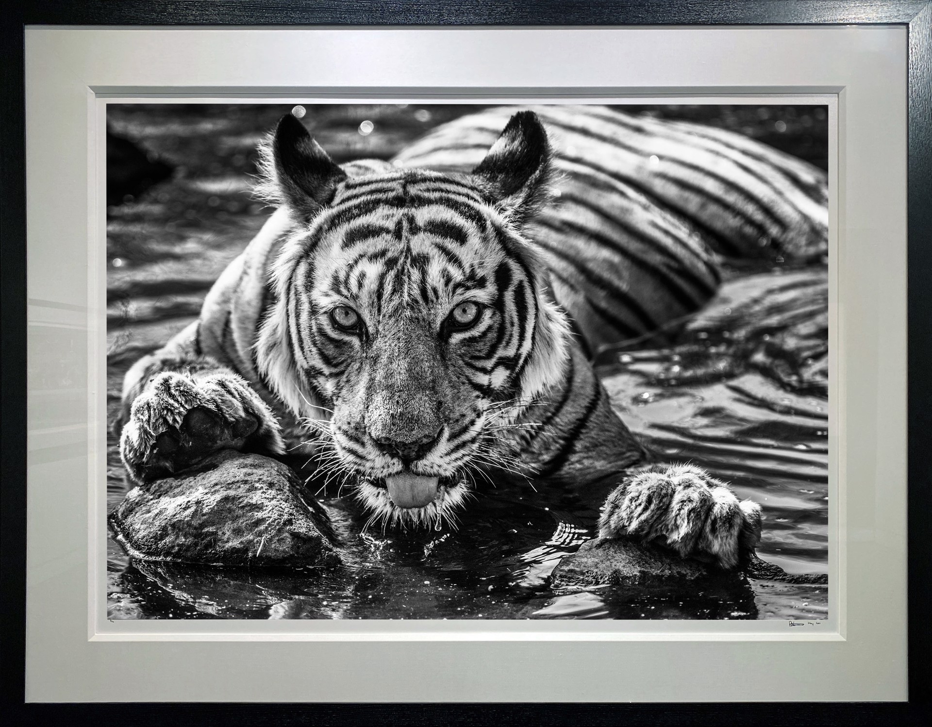 The Queen of Ranthambore by David Yarrow
