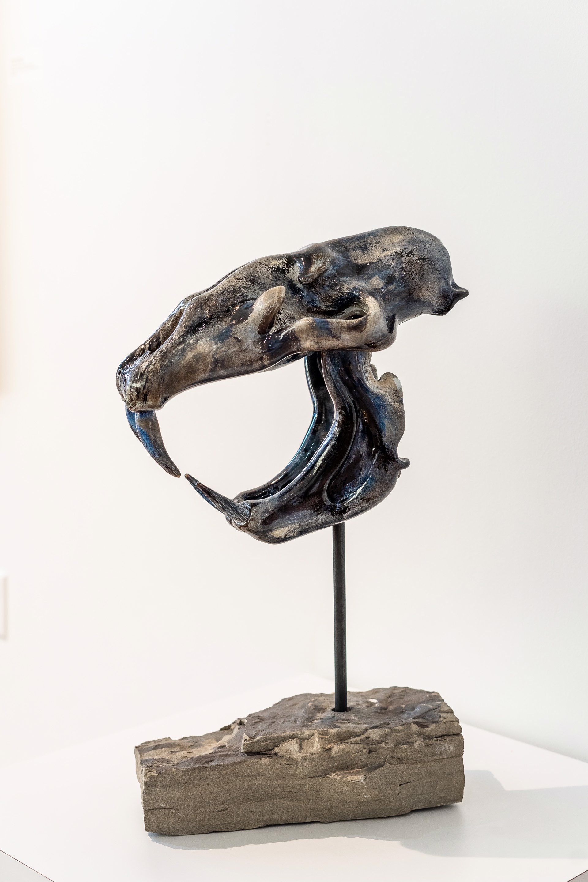 Sabertooth Skull by David Gappa
