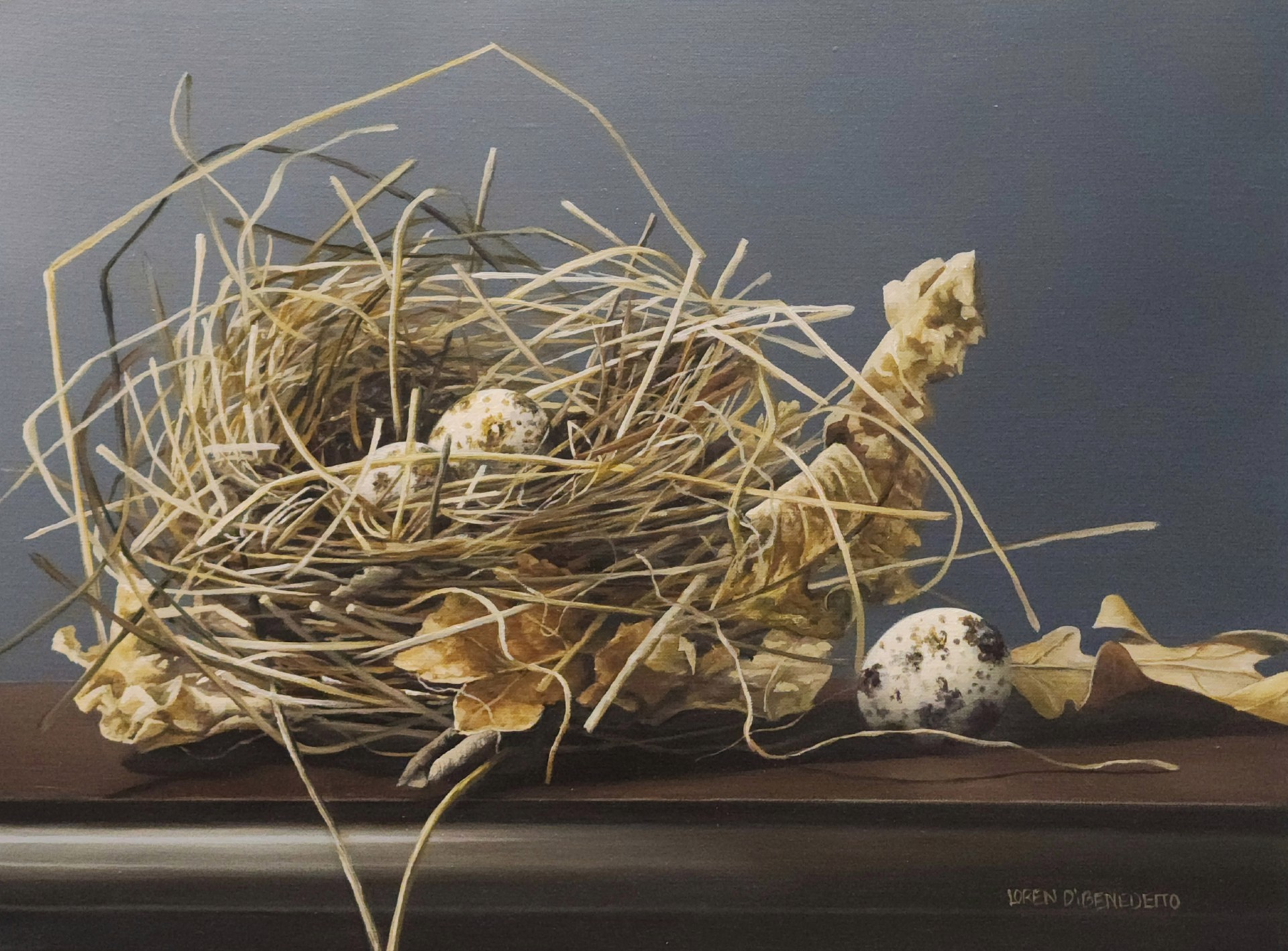 Eggs and Nest by Loren DiBenedetto, OPA