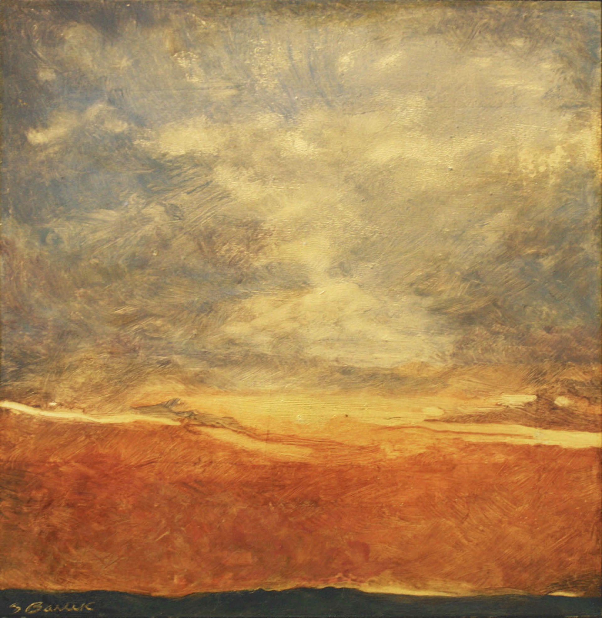 Orange Sunset by Shelly Bartek