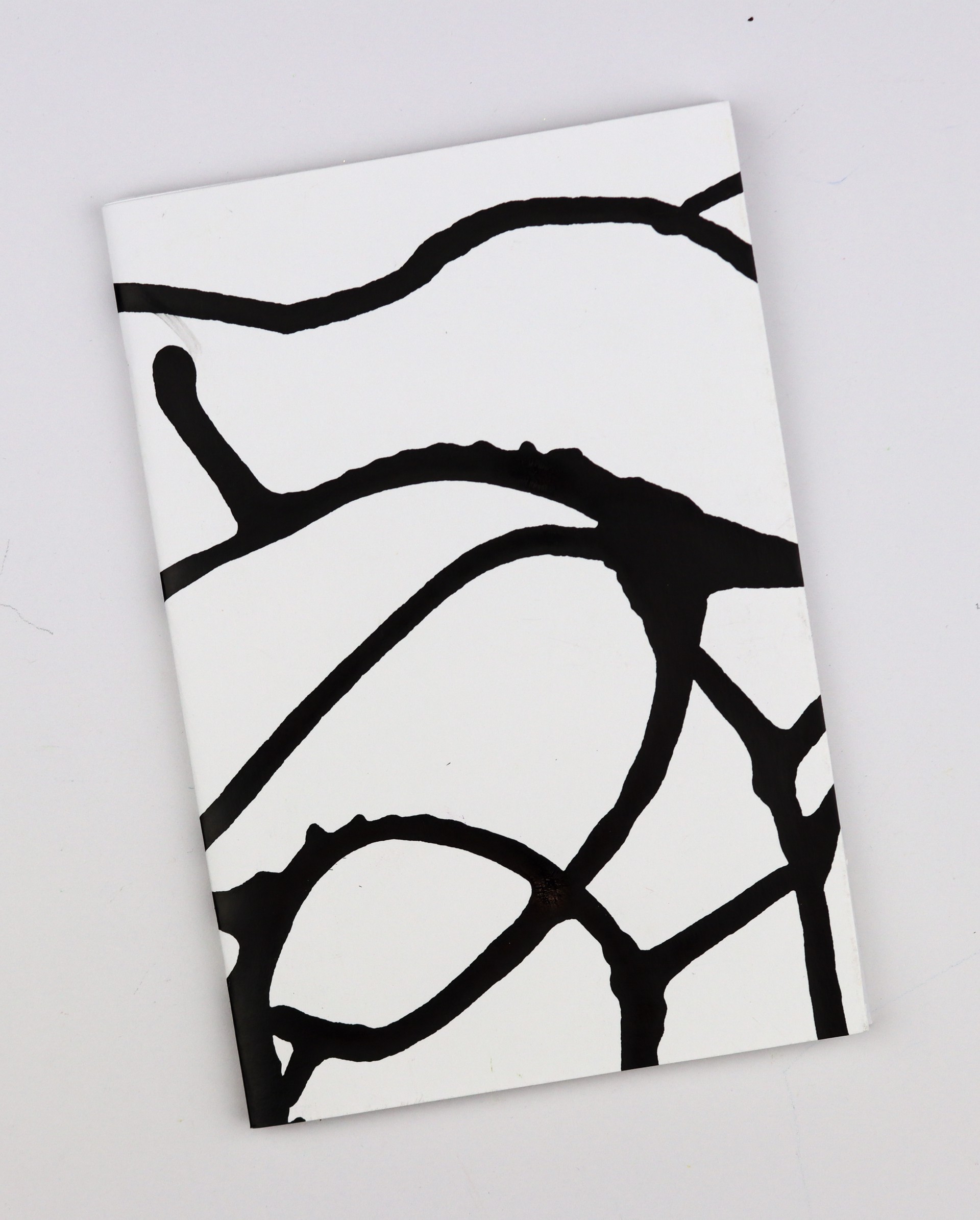 Drip Book (black and white 3) by Toni Lane