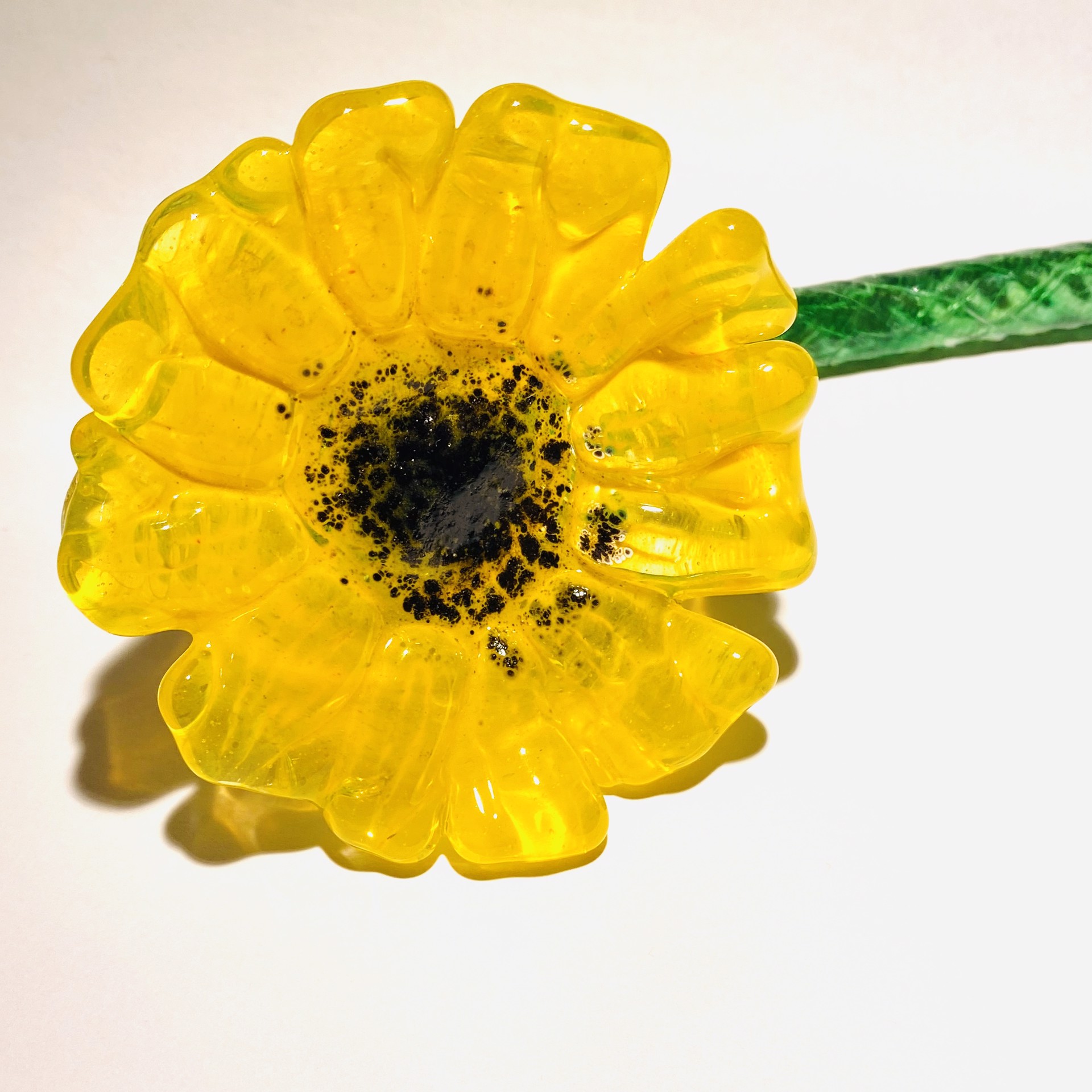 Flower-Yellow, JG1 by John Glass