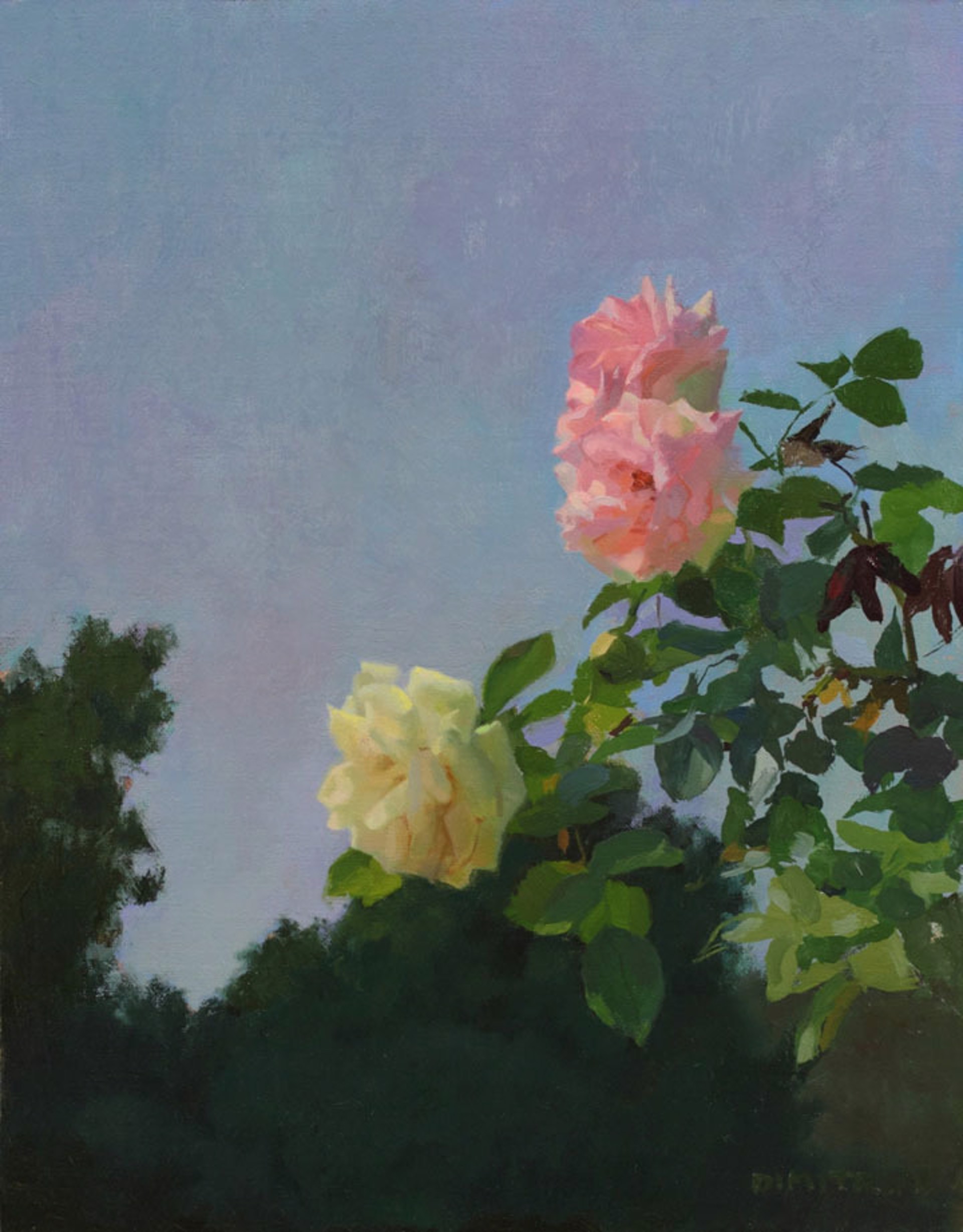 Sunlit Roses by Martin Dimitrov