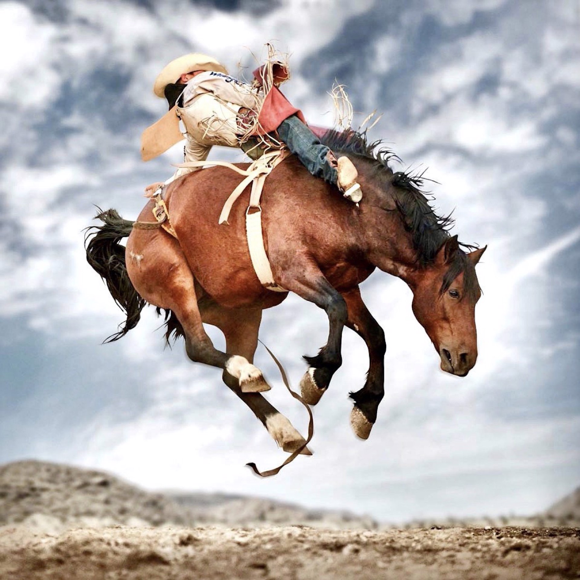 High and Mighty by Steve Wrubel