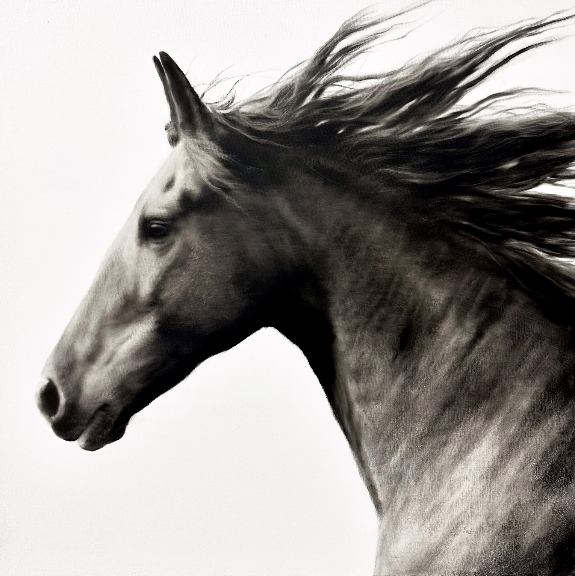 Westward by Kenneth M. Peloke