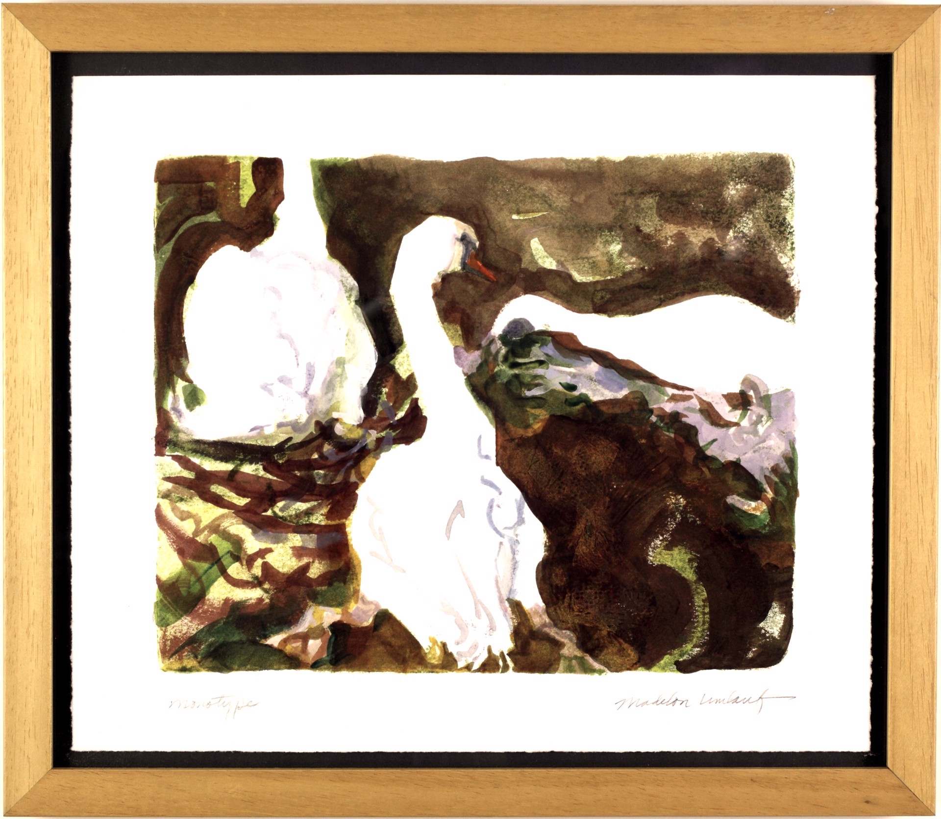 Swans by Madelon Umlauf