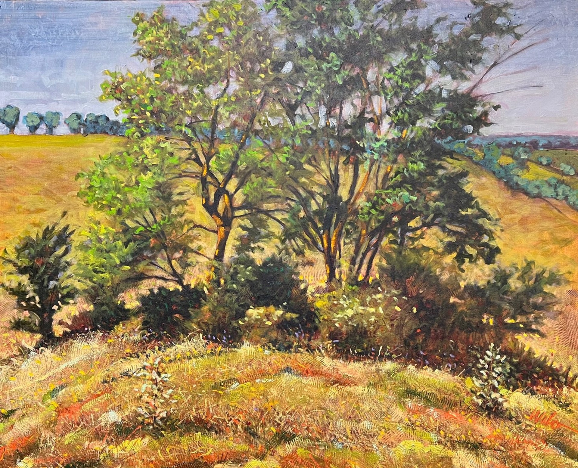 Oasis by Larry Welo