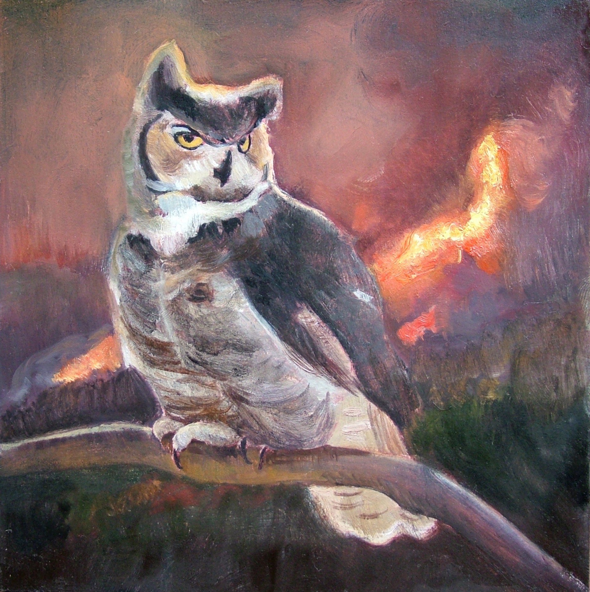 Horned Owl by David Molesky