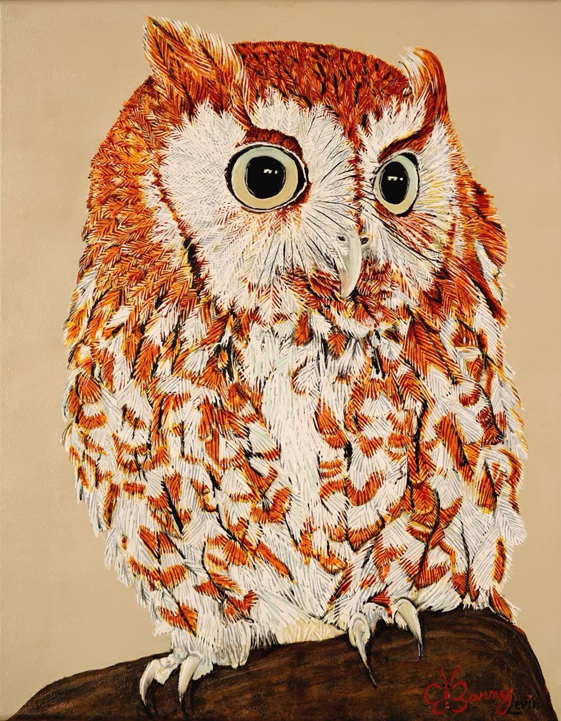 Eastern Screech Owl by Barry Levin