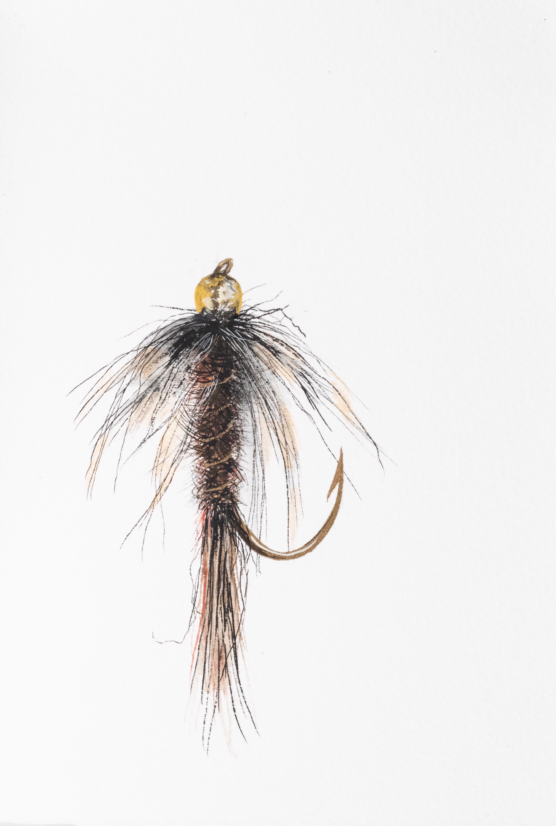 Pheasant Tail by Meredith Mejerle