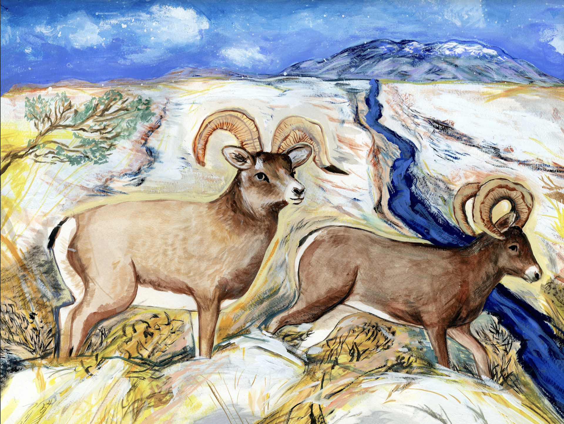 Bighorn Sheep in Winter by Kat Kinnick