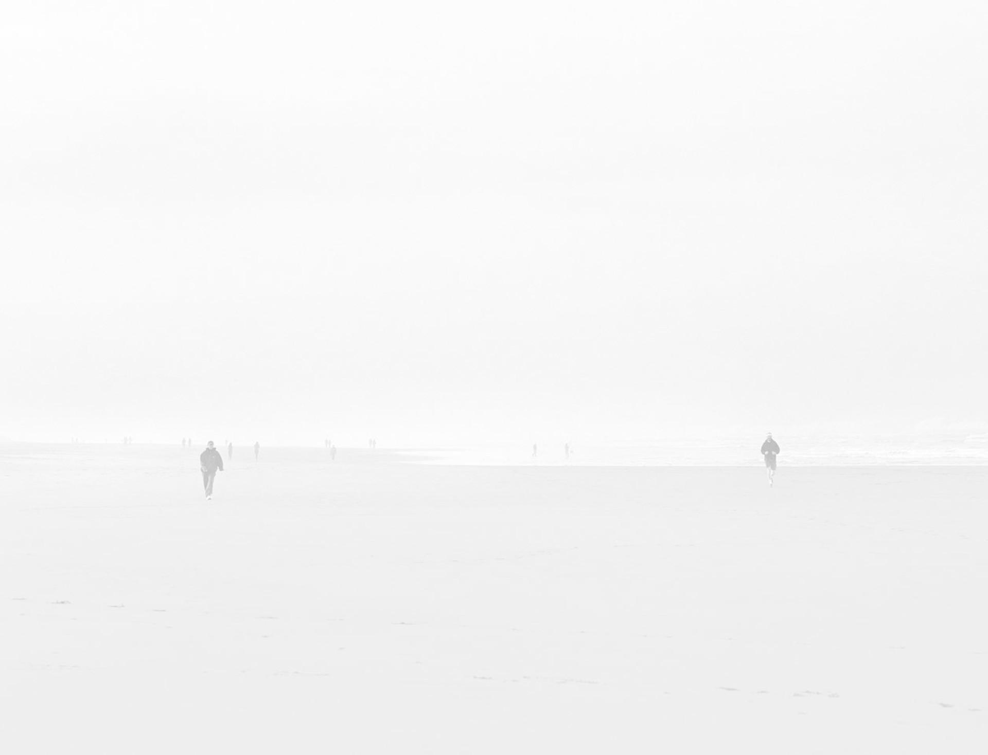 Wanderers in a Sea of Fog 6 by Tressa Pack