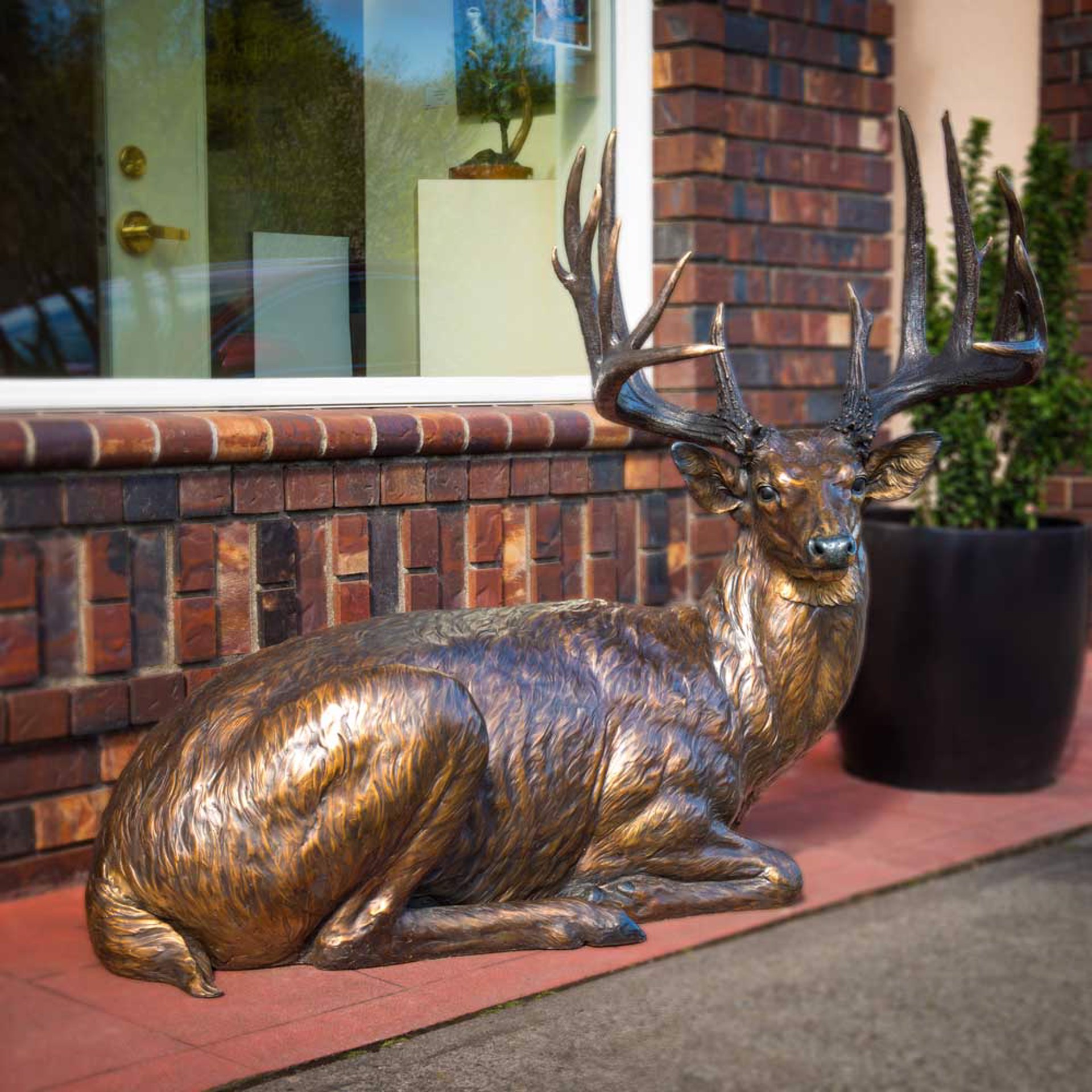 Life Size Whitetail Deer Original Bronze Sculpture by Rip and Alison Caswell, Contemporary Fine Art, Modern Wildlife Art, Available At Gallery Wild