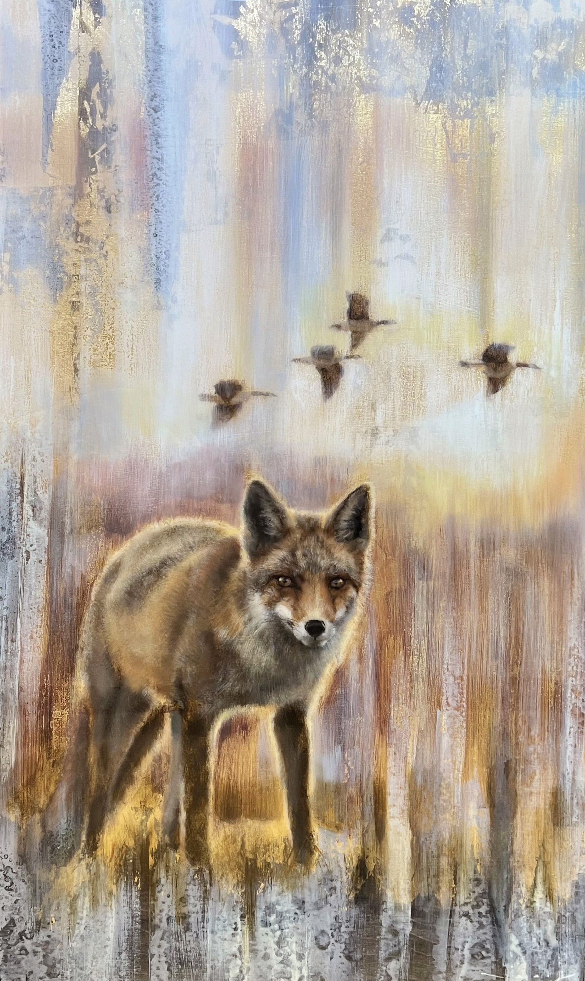Red fox in field with geese flying by. 