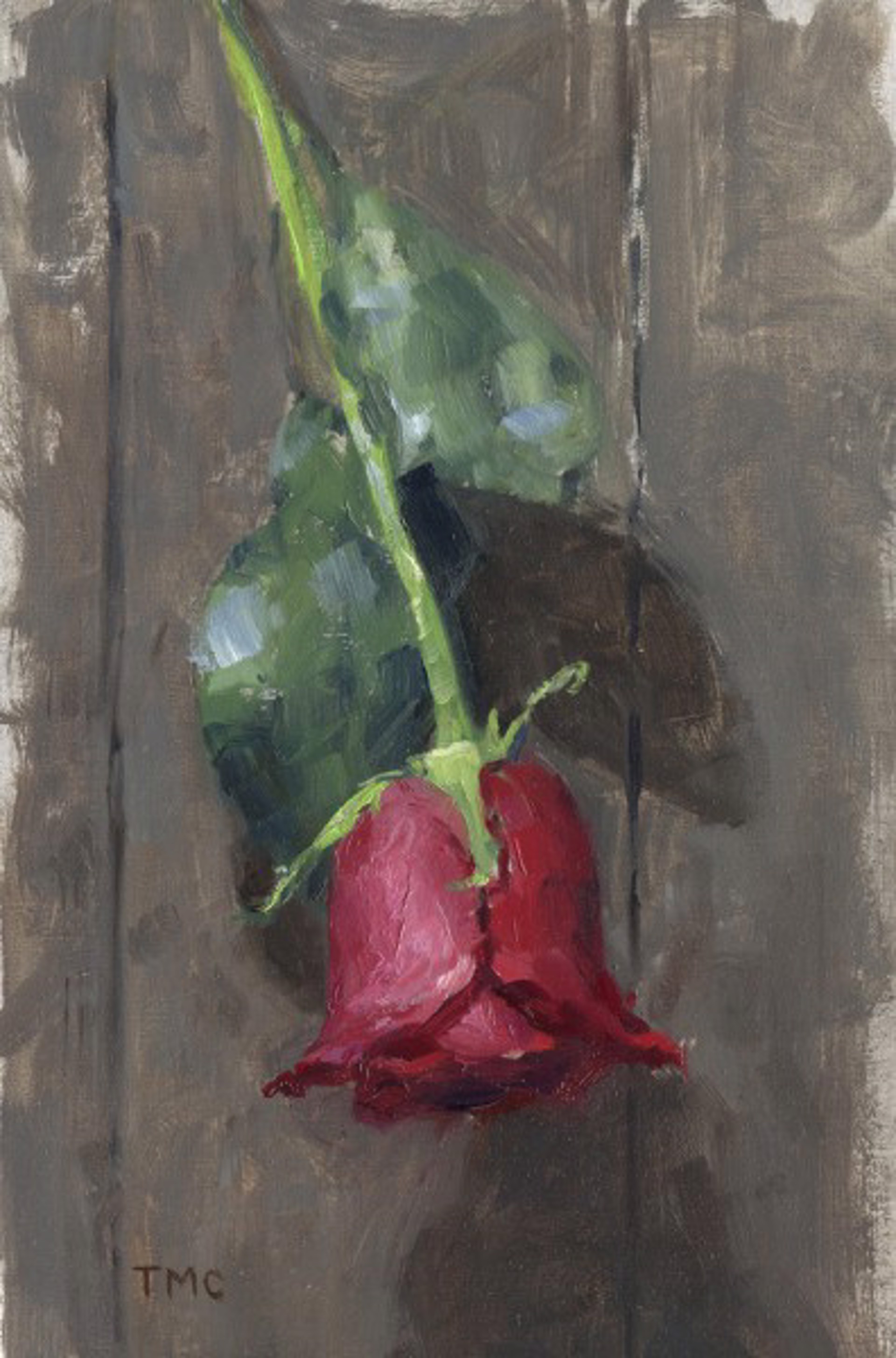 Red Rose by Todd M. Casey