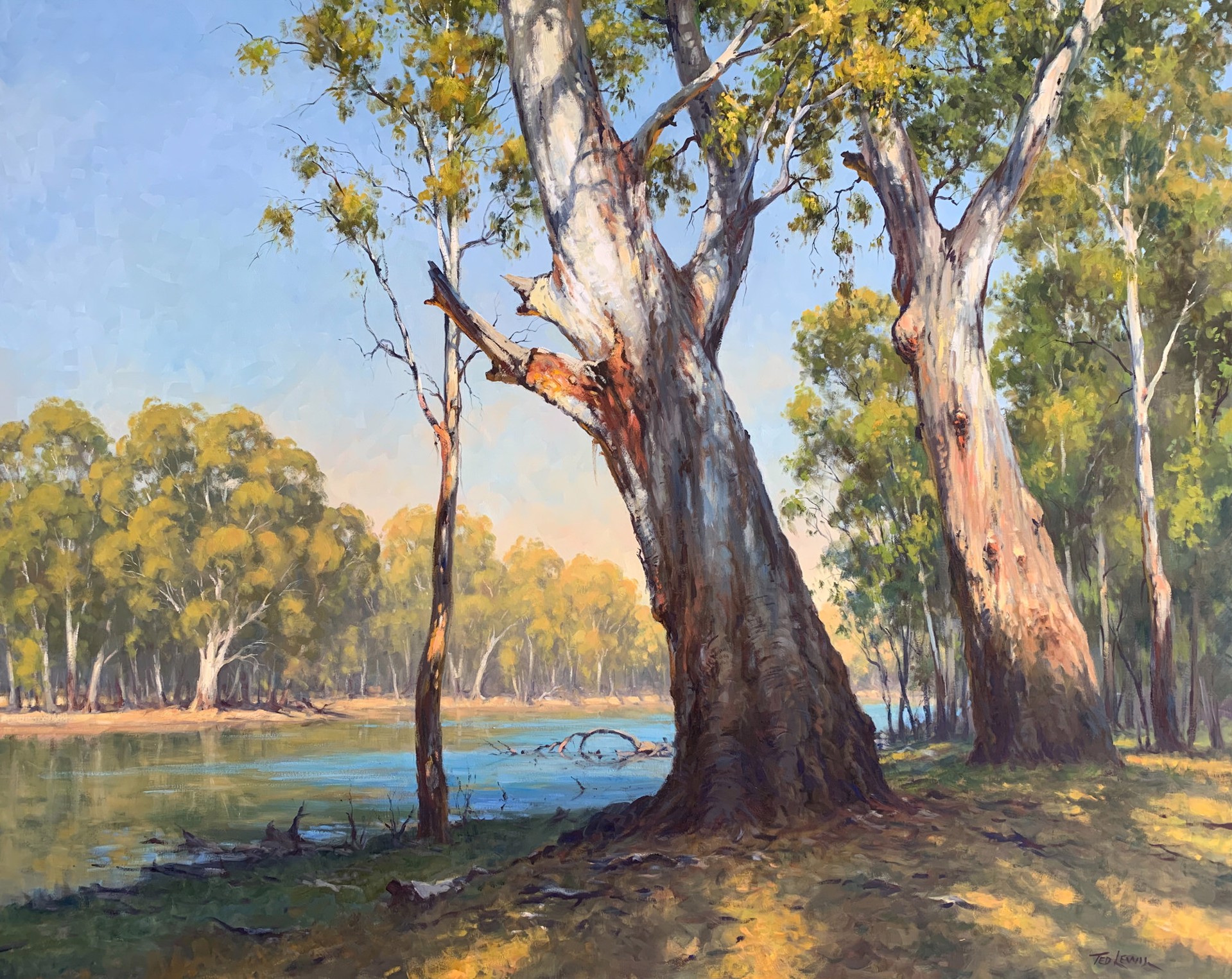 Morning Shadows Barmah (Murray River) by Ted Lewis