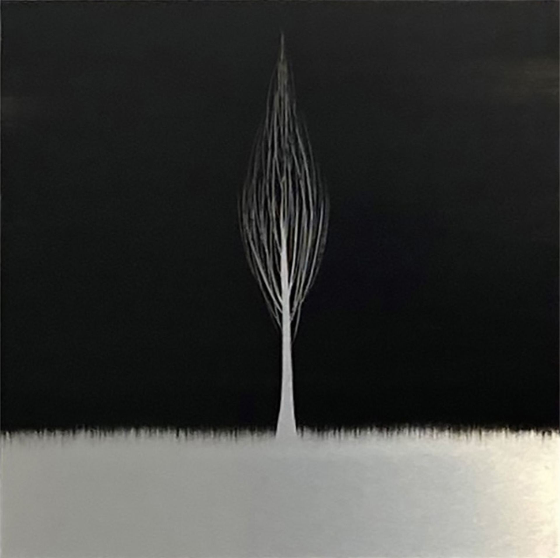 Solitude Black - 19127 by Hamilton Aguiar