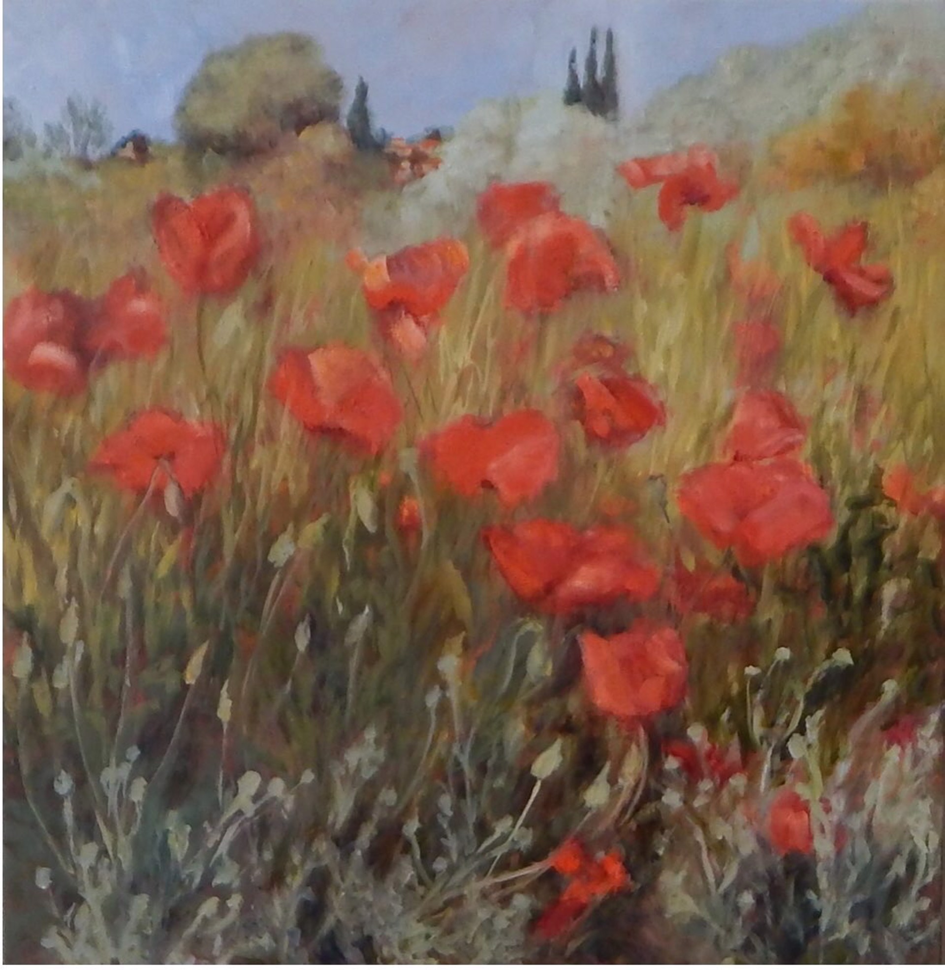 Hillside with Poppies by Ann B. Rhodes