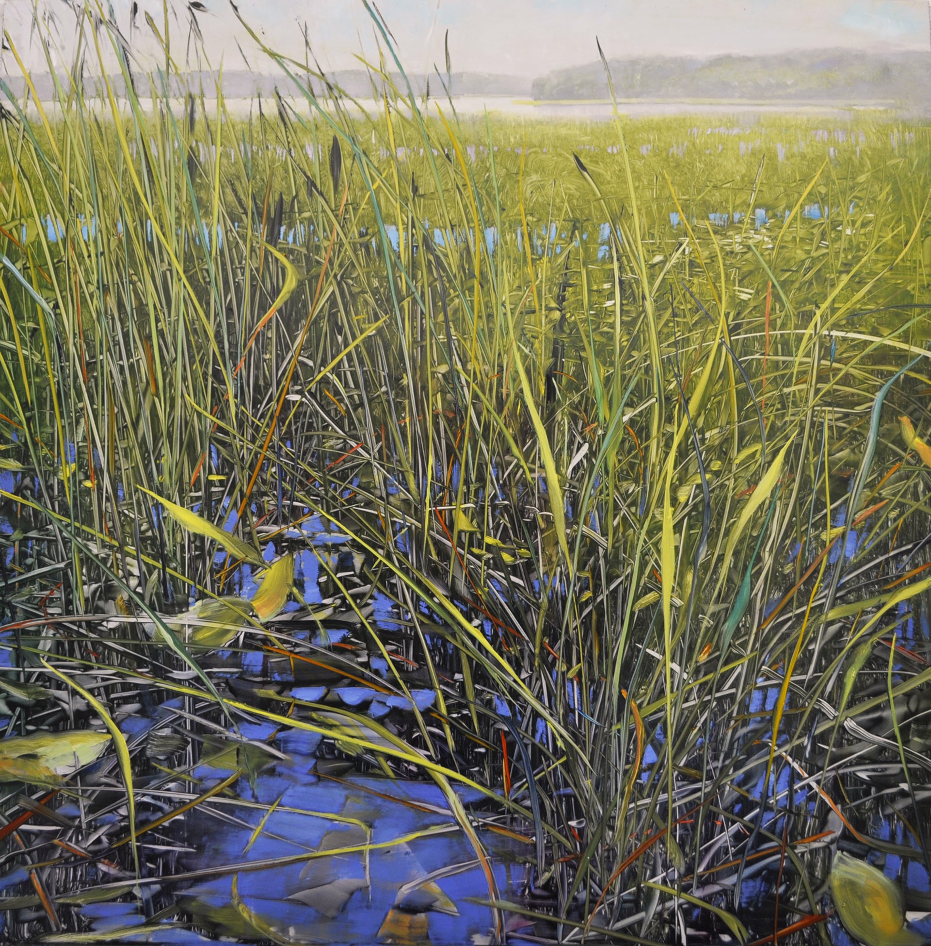 Marsh Radiance by David Dunlop