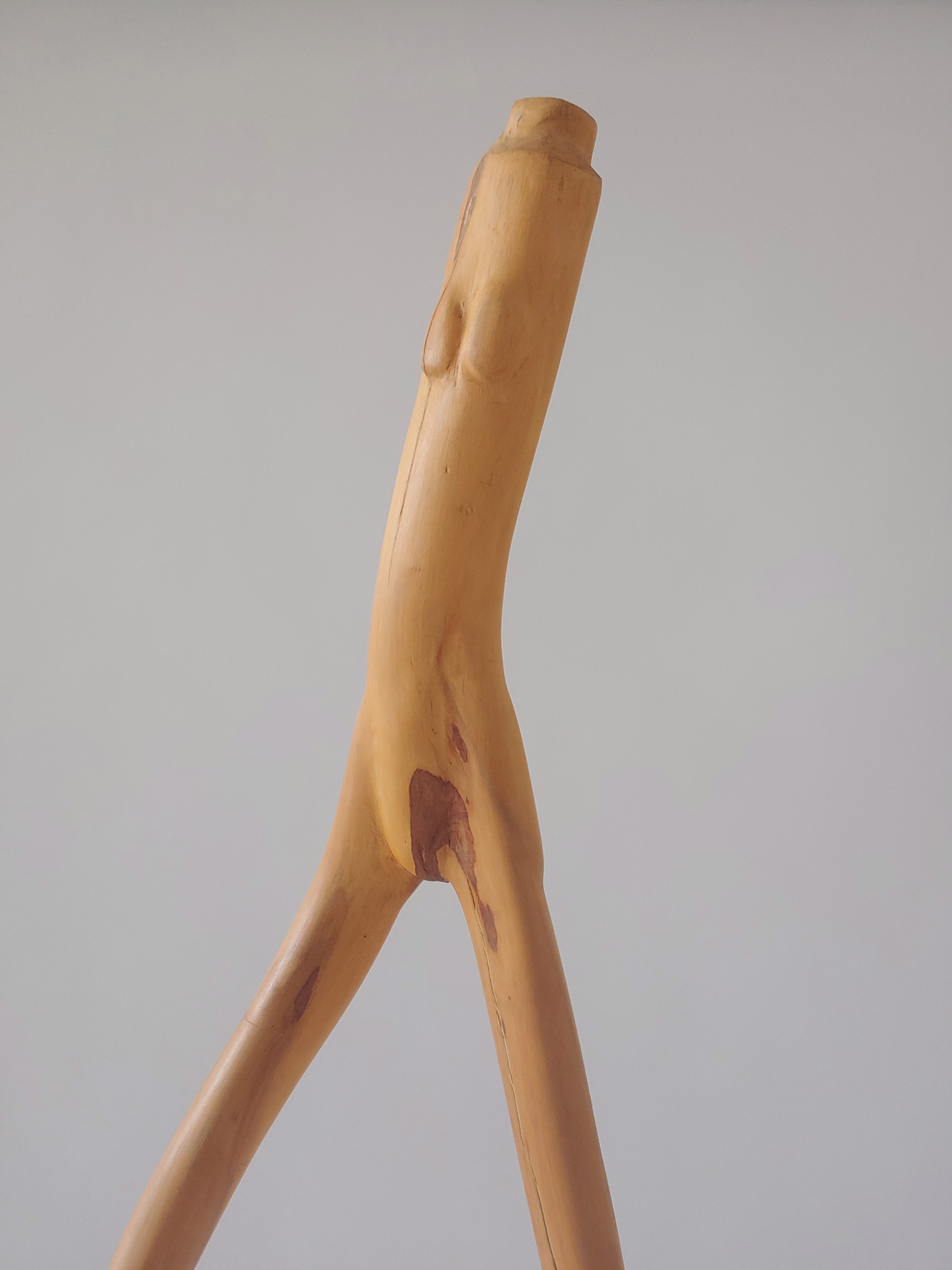 Willow - Wood Sculpture by David Amdur