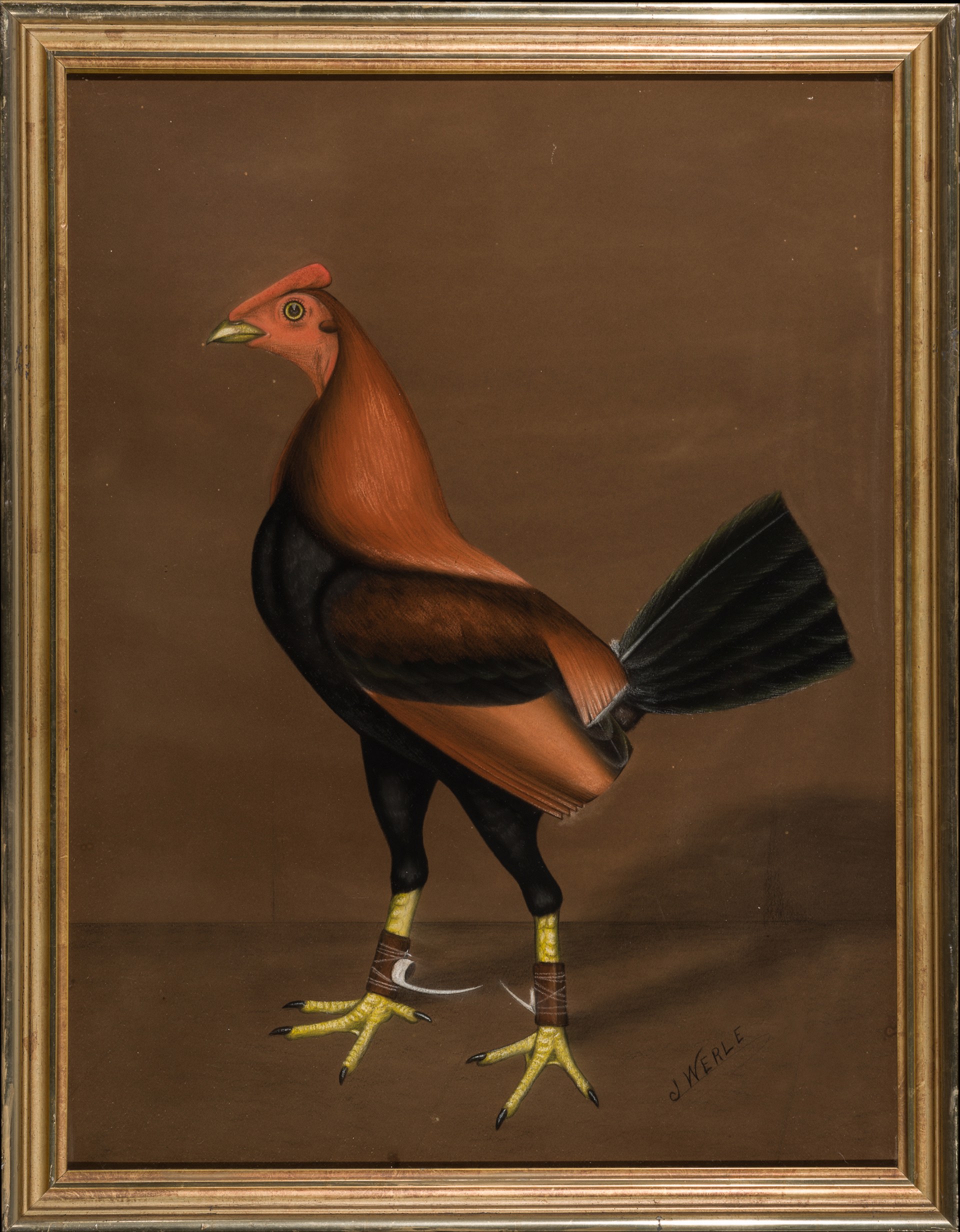 GAMECOCKS (a pair) by J. Werle