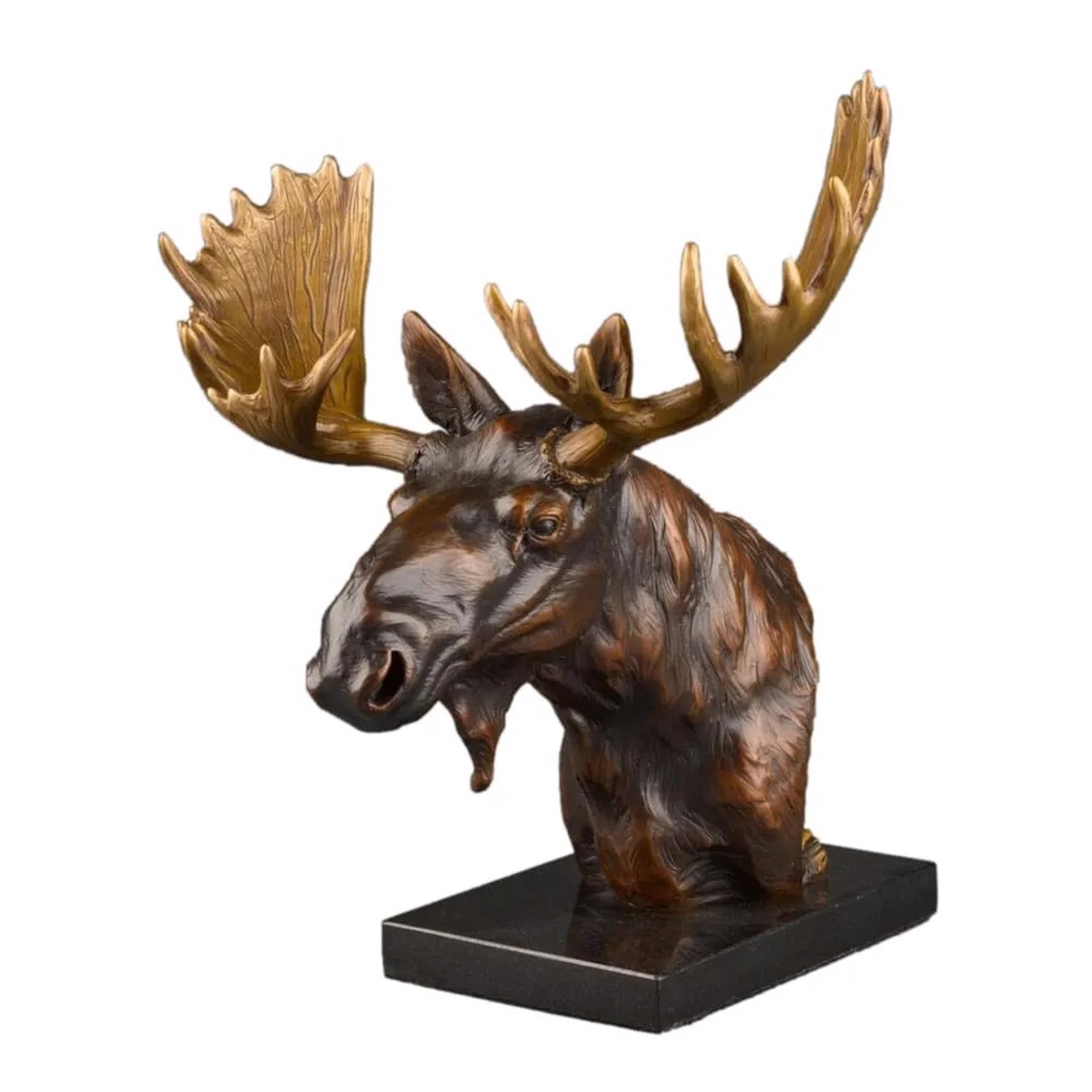 Moose Bust by Rip Caswell