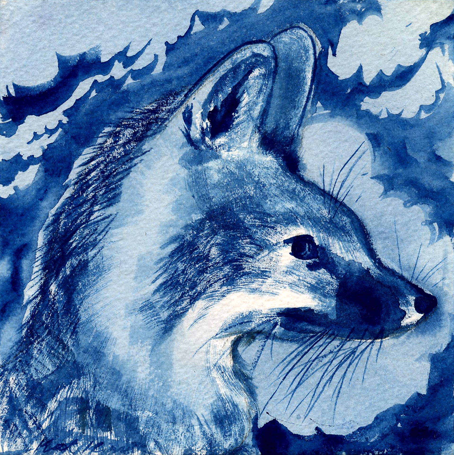 Grey Fox in Blue by Kat Kinnick