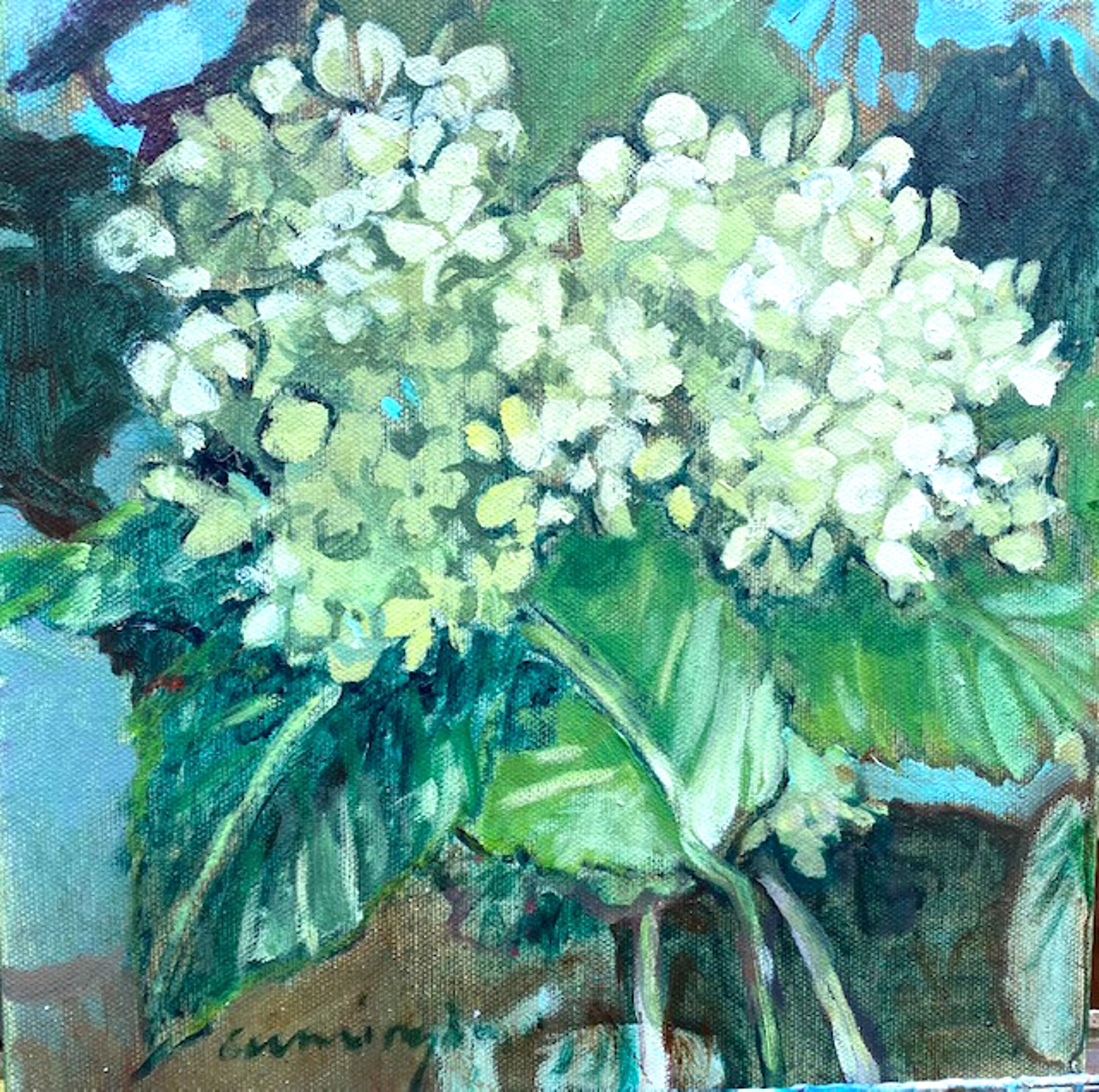 Green Hydrangeas by Nan Cunningham