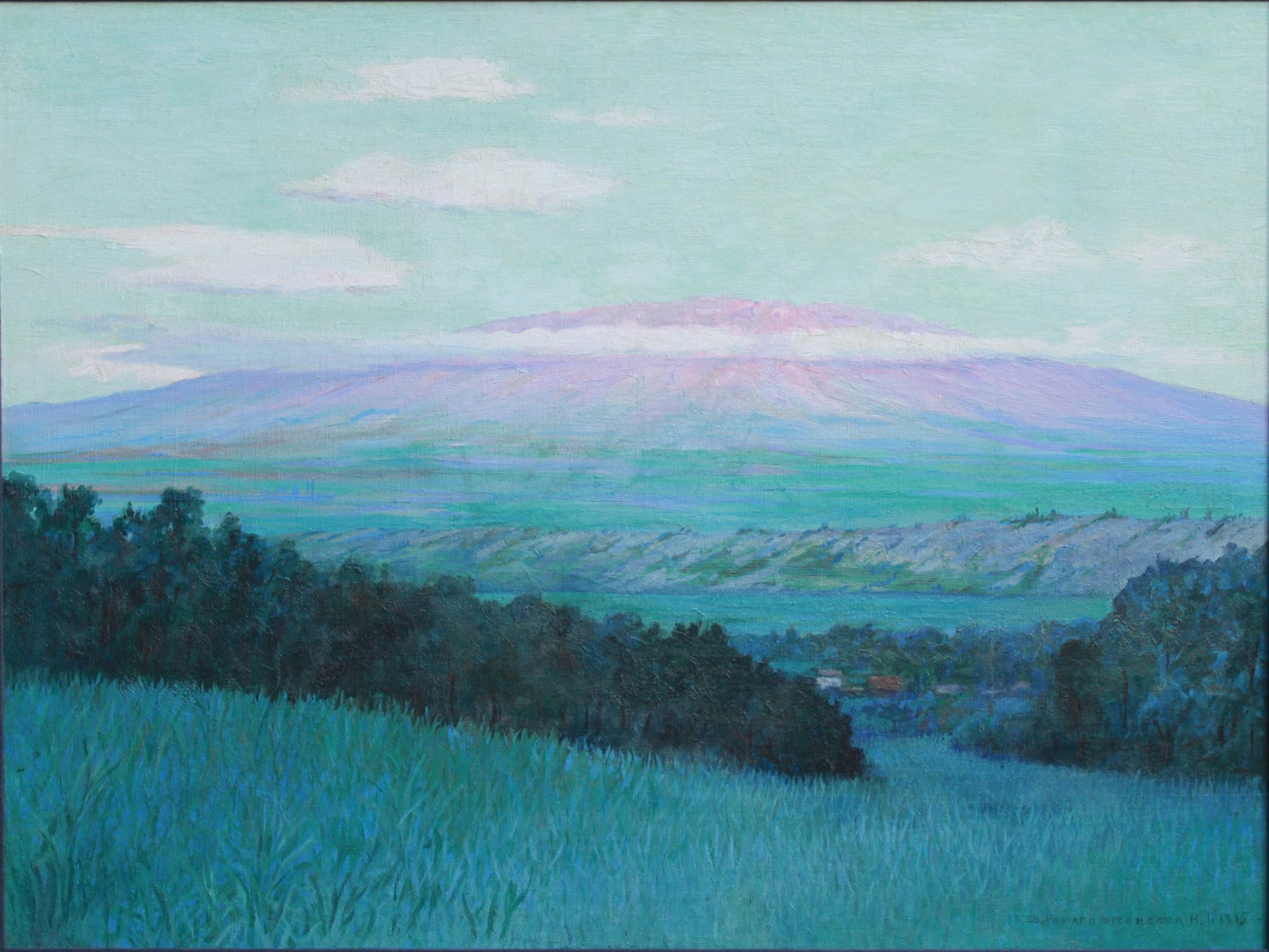 View of Haleakala by D. Howard Hitchcock