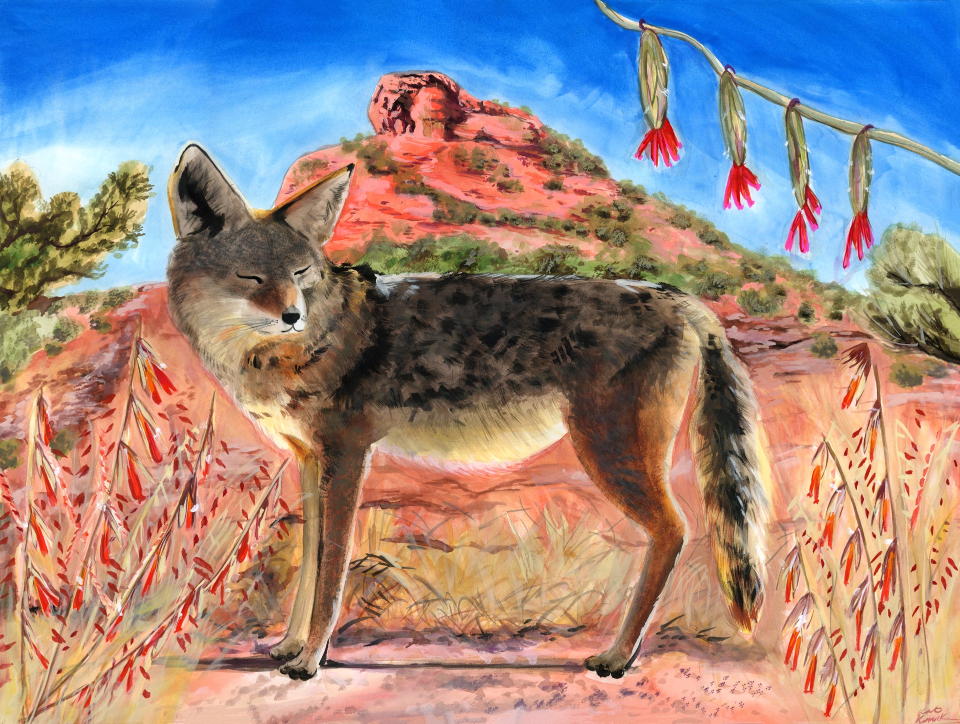 Tenderness. Coyote, Side Oats Grama & Chimney Rock by Kat Kinnick