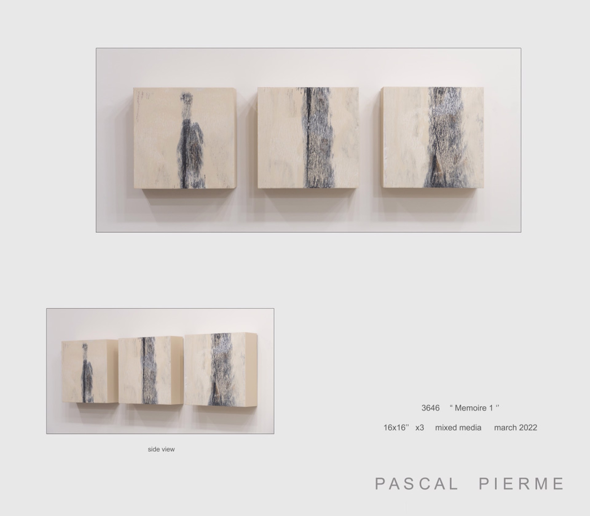 Memoire 1 by Pascal Piermé