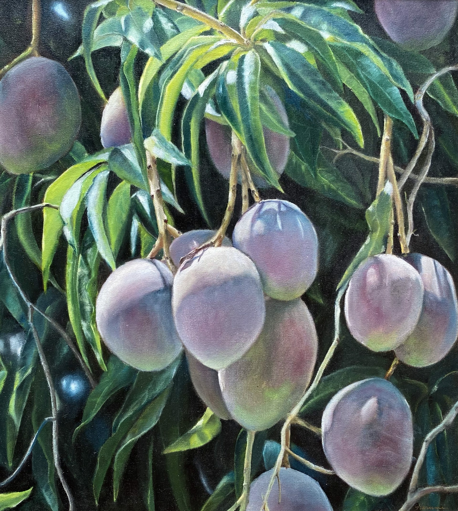 Mangoes in paradise by Harumi Fujimoto -OharuArt