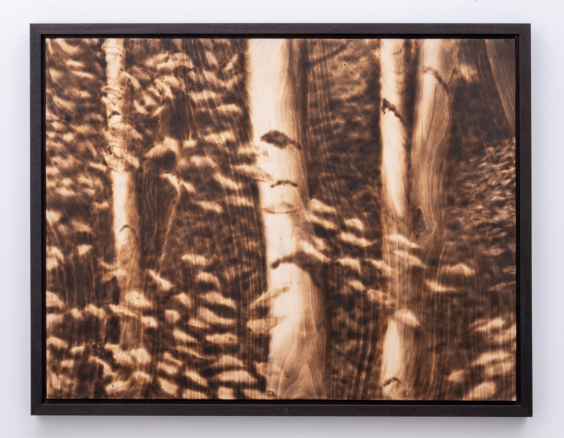 Amongst the Birches #8 by Paul Chojnowski