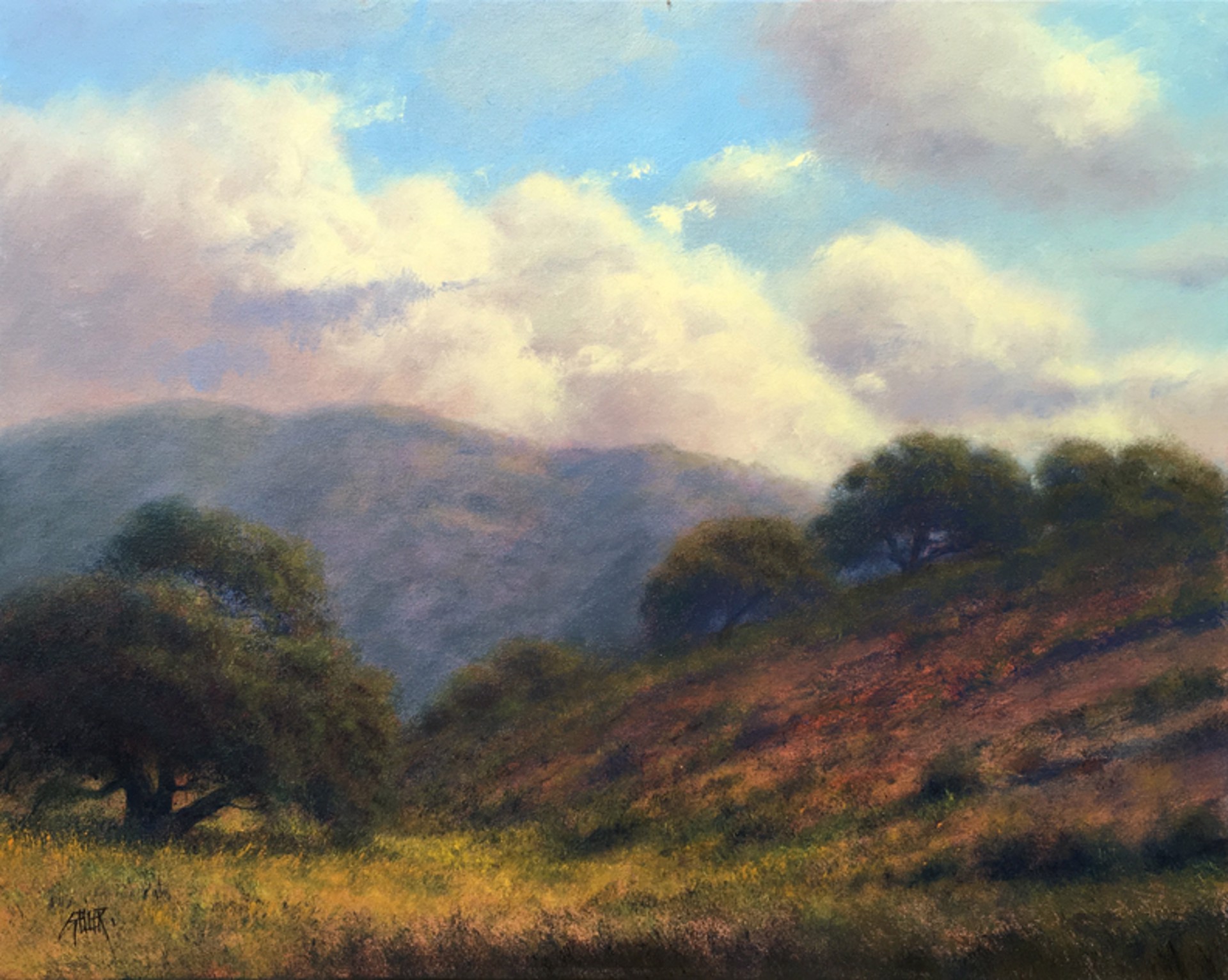 Oak Clad Hills by Mark Geller