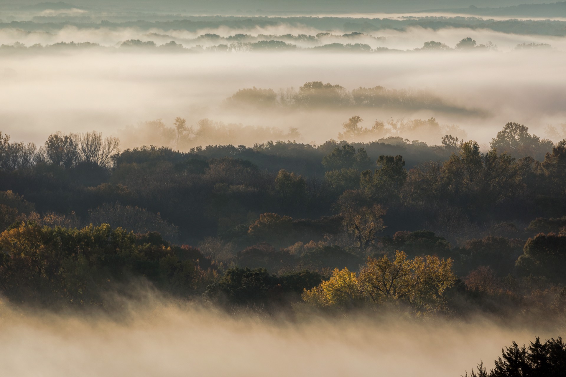 Foggy Morning by Scott Bean