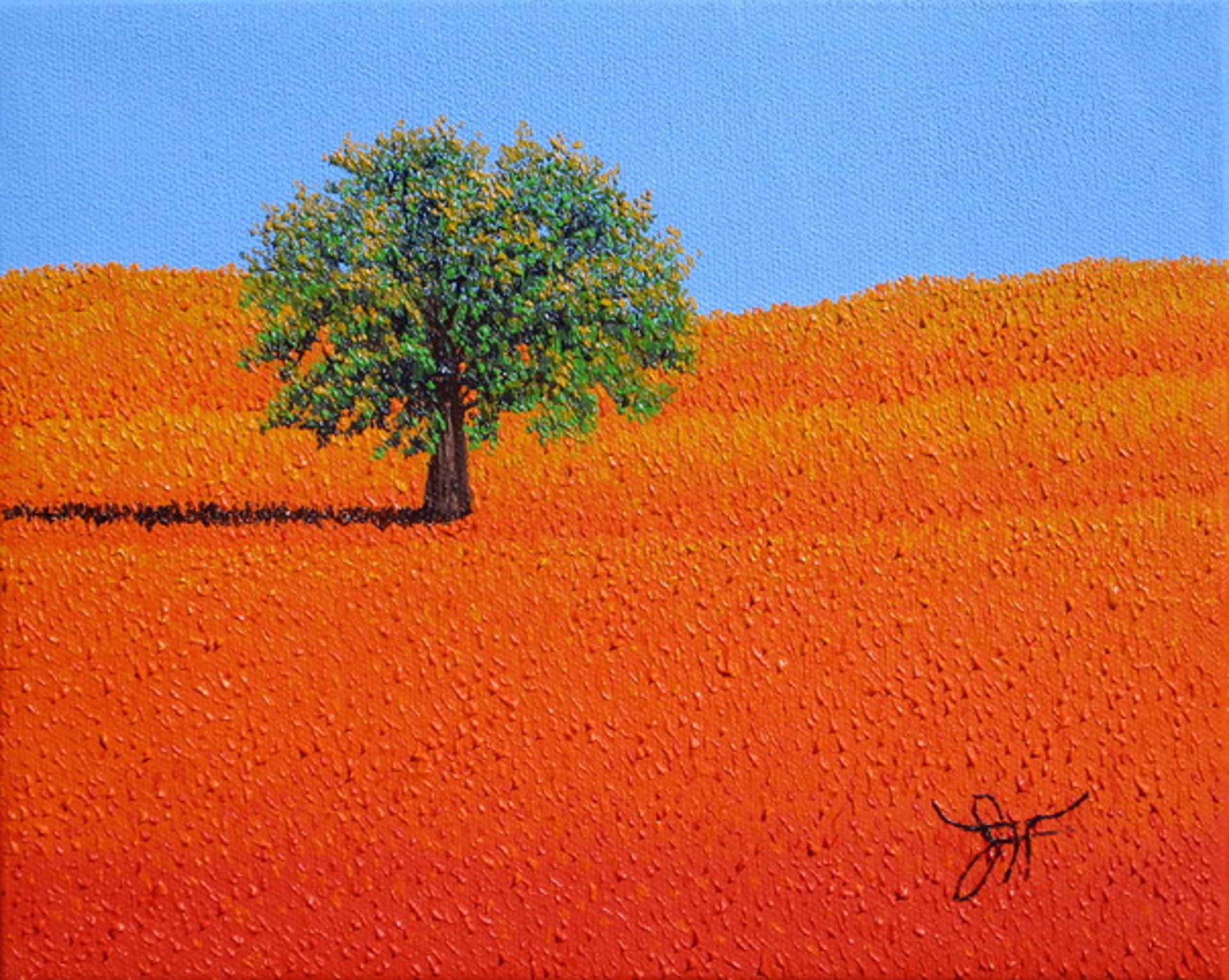 Sunny Orange by Jay Maggio