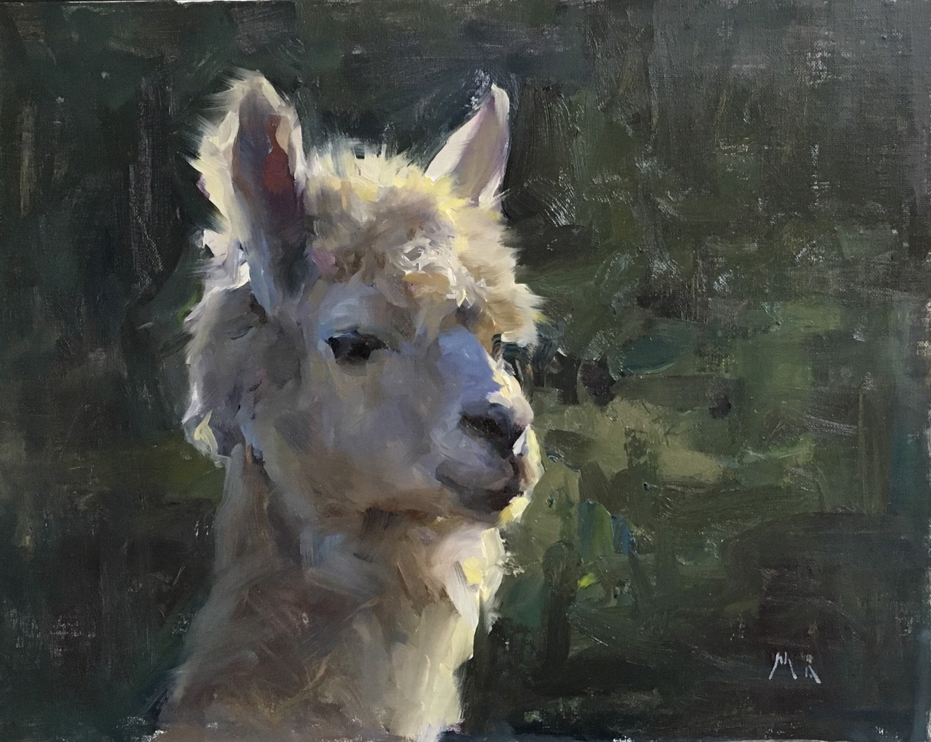Alpaca by Kyle Ma