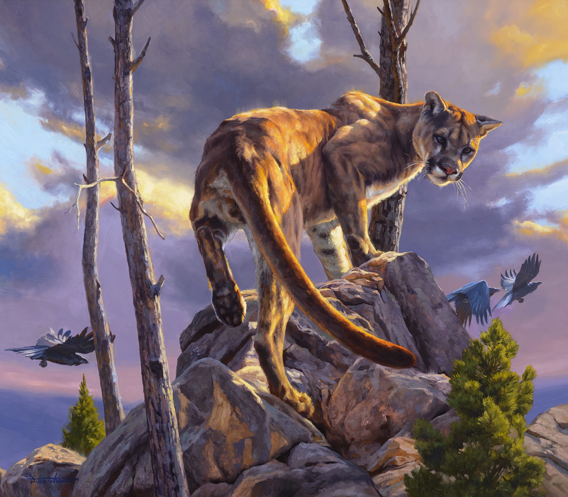 The Catbird Seat by Dustin Van Wechel