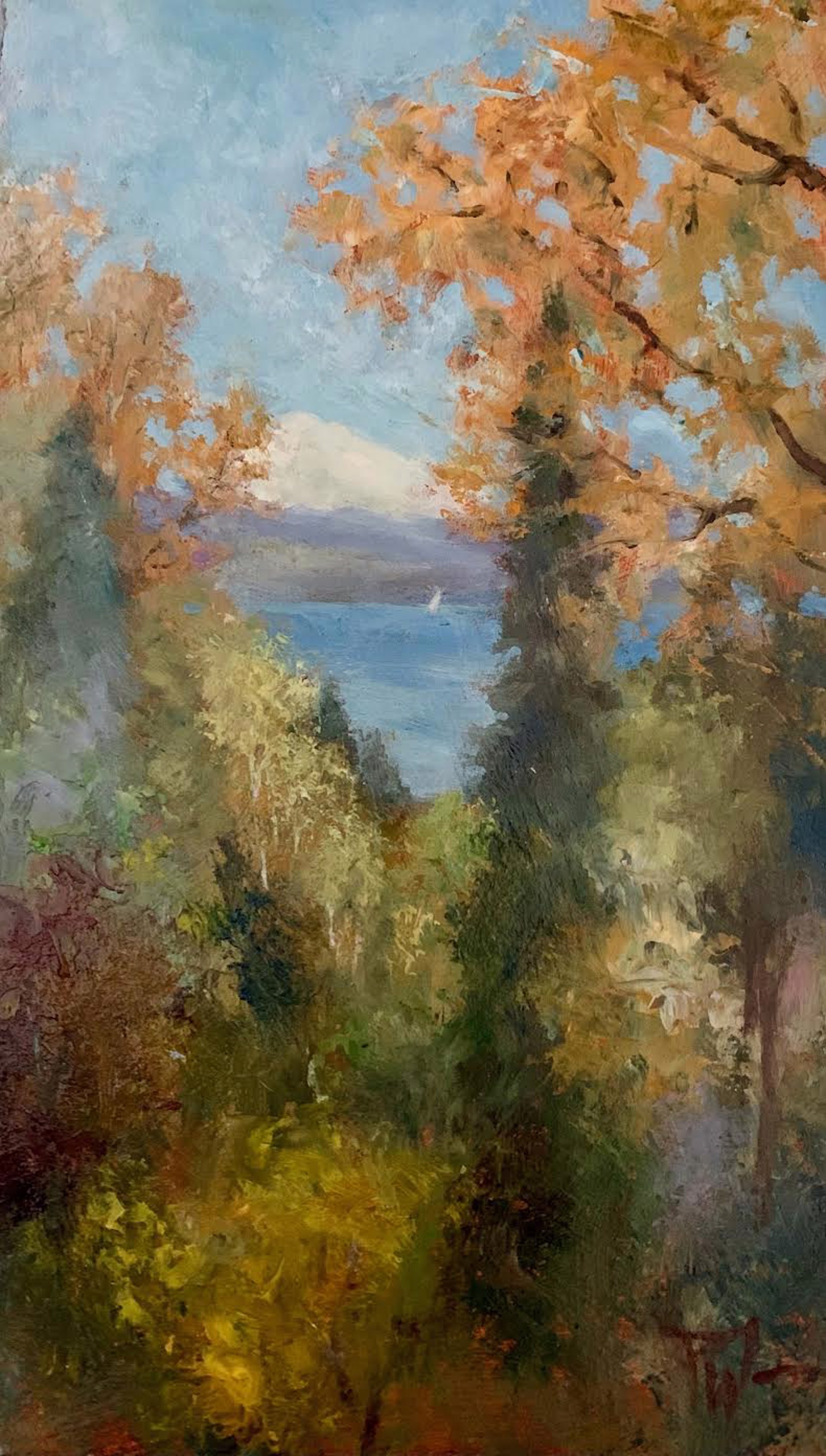 Autumn Brilliance (Mt Baker From The Island) by Pamela Wachtler