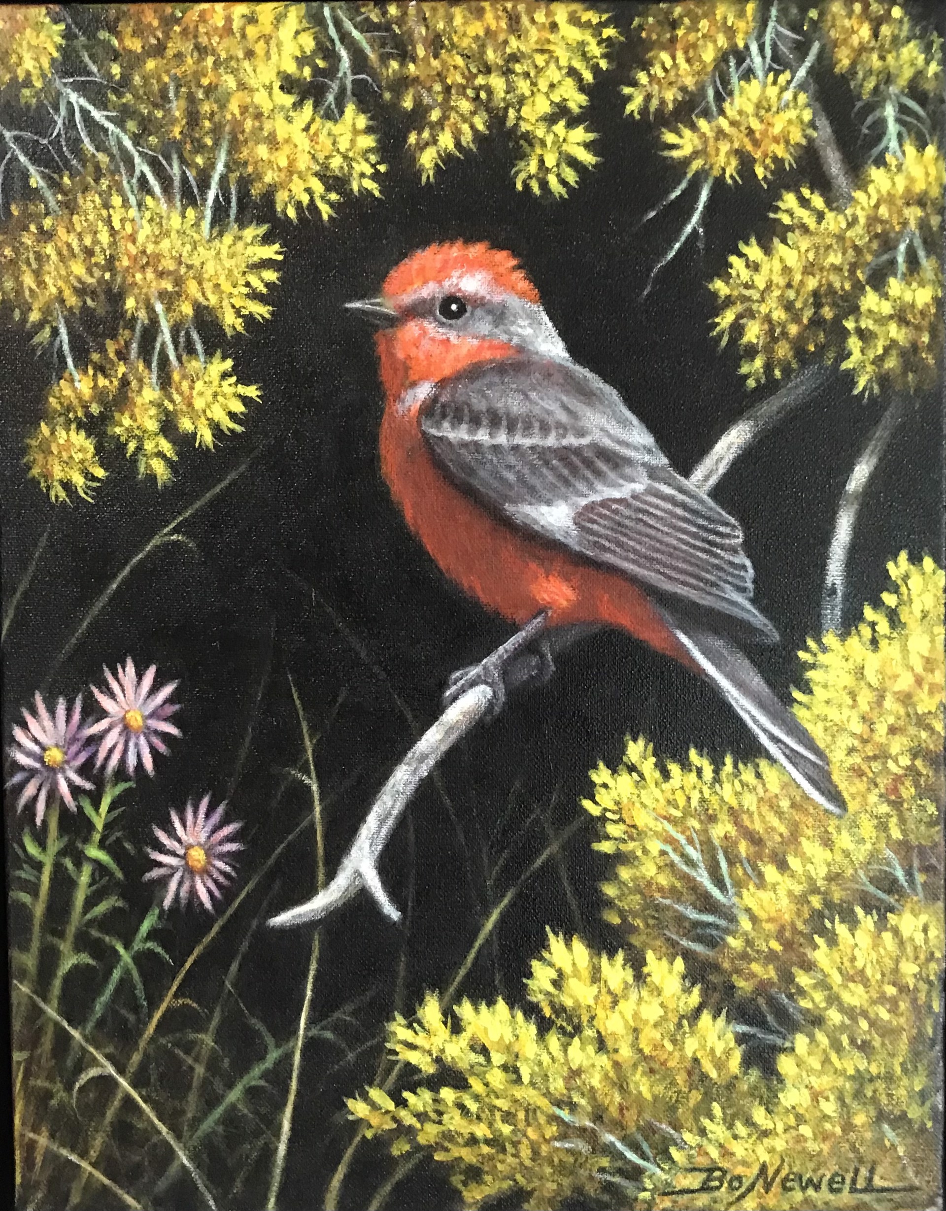 “Redhead” (Vermilion Flycatcher) by Bo Newell