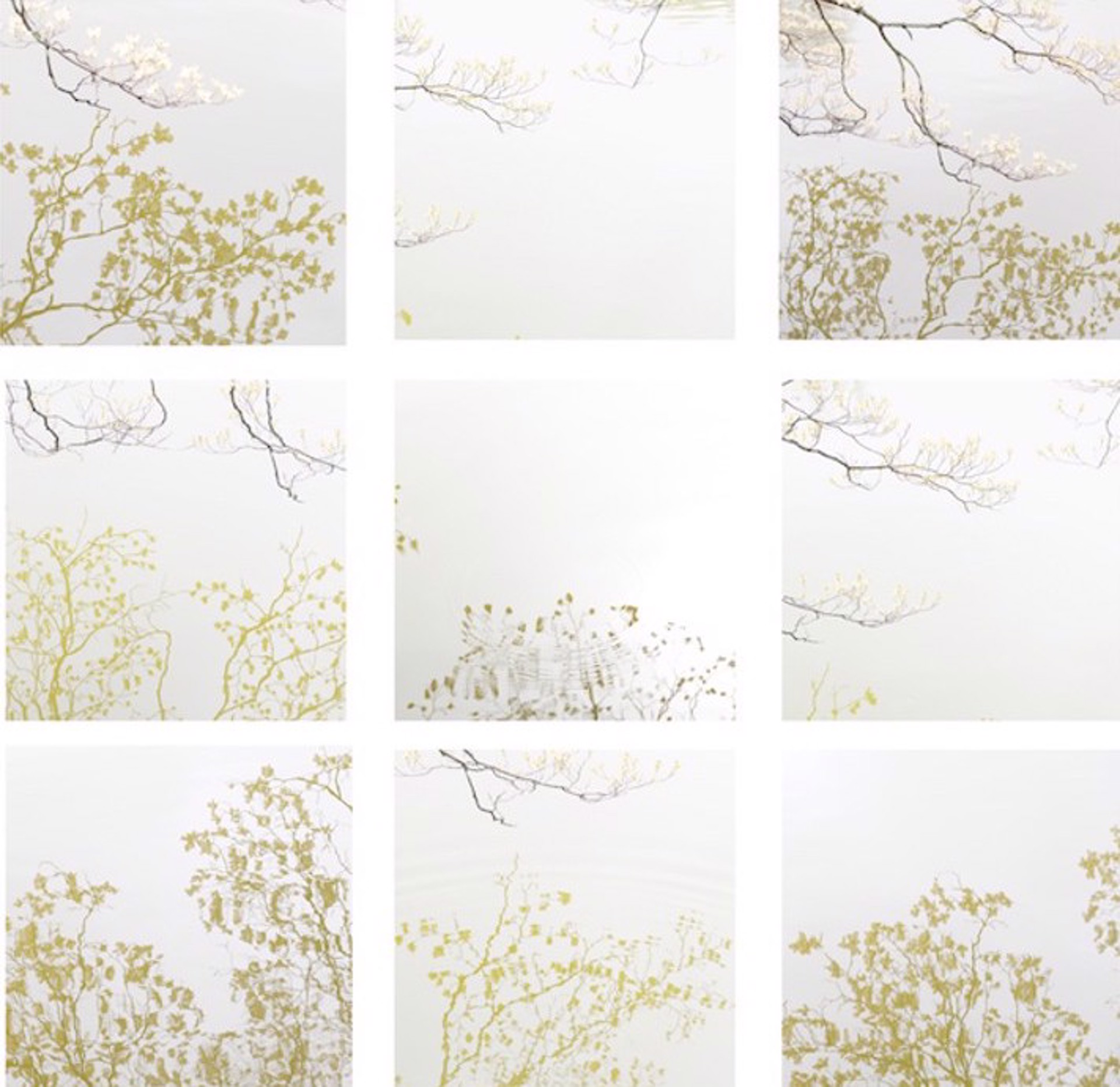 Tess Atkinson | Jules Place