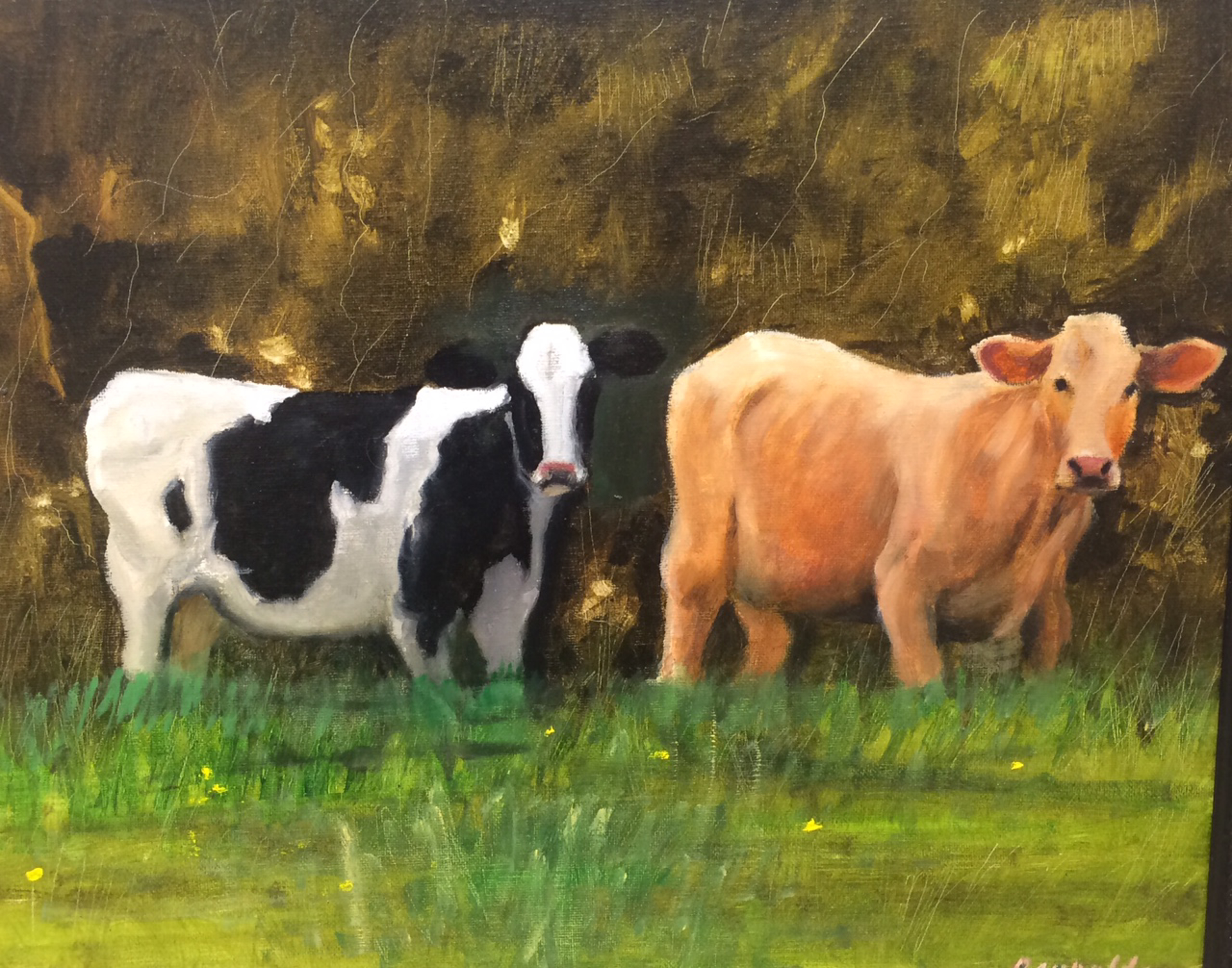 Cows In Pasture by John Reynolds
